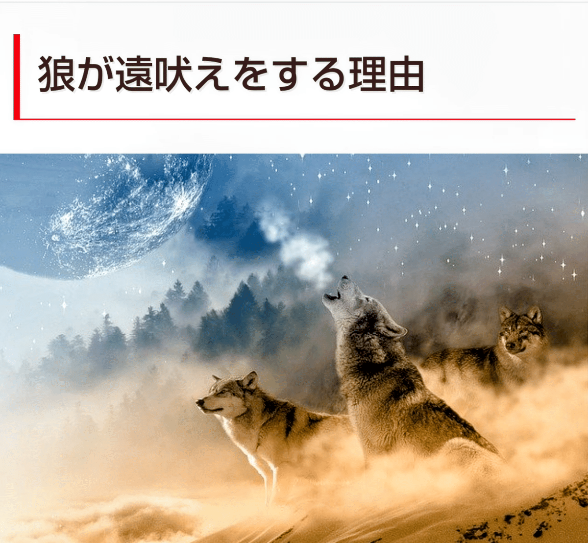 オオカミの遠吠えと人間の物狂おし｜池淵竜太郎RyutaroIkebuchi『竜之