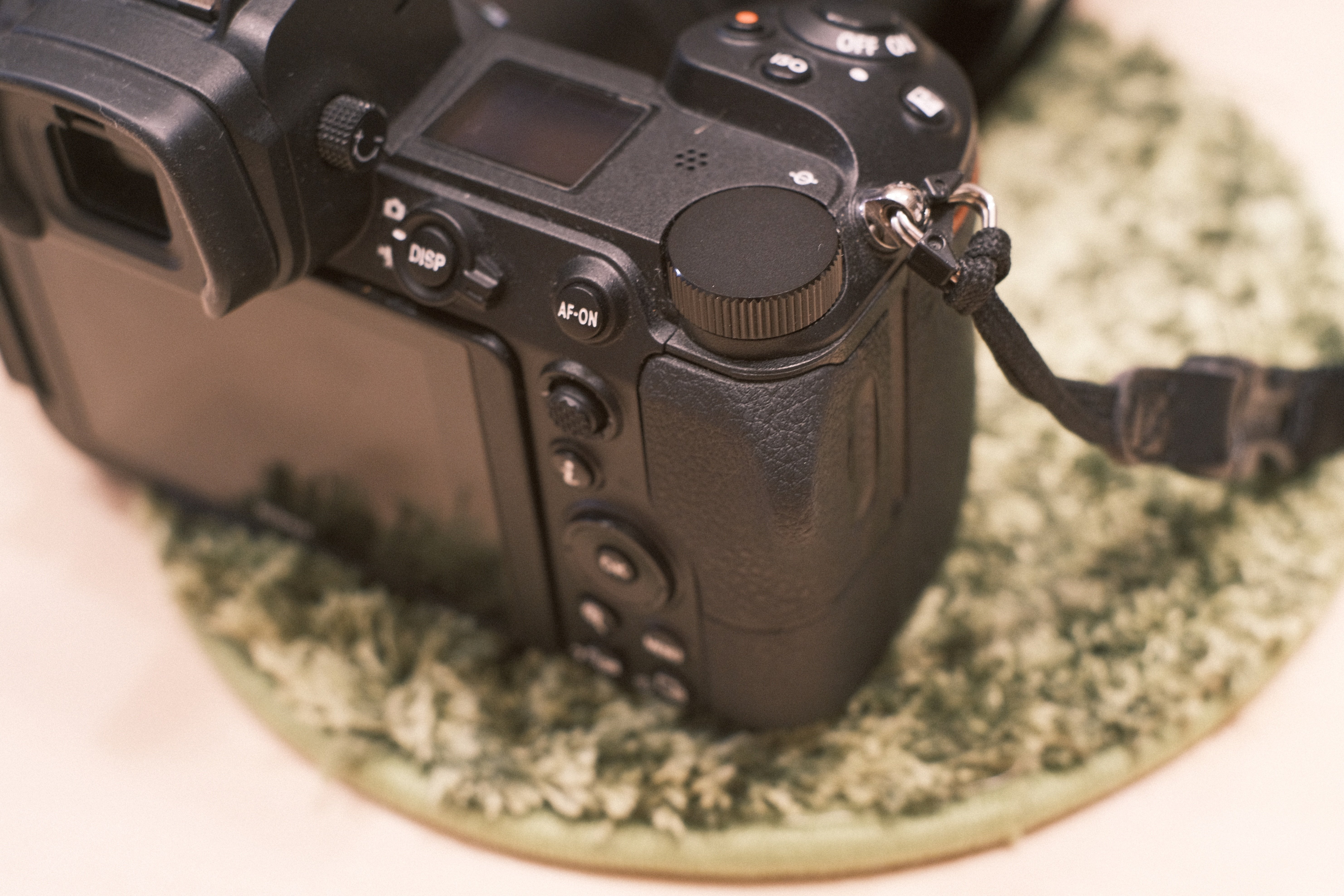 Nikon Zfとお似合いレンズ|anpan Nikon Zfとお似合いレンズ|anpan