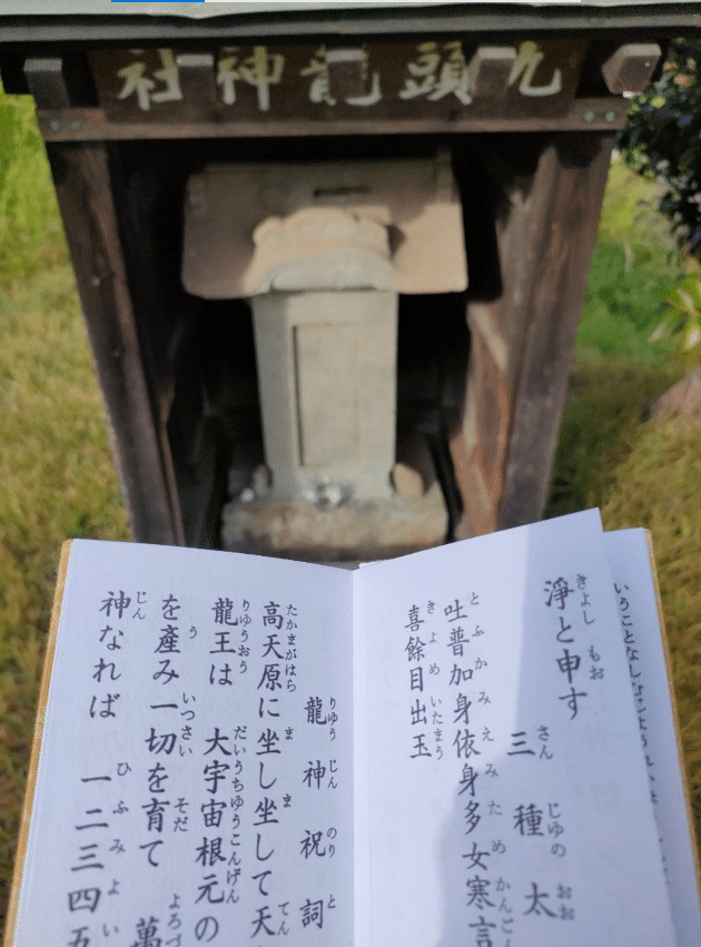 コタロー様　九頭龍神法 Kuzuryu Shrine Hongu: Pass Through the Forest and Visit the