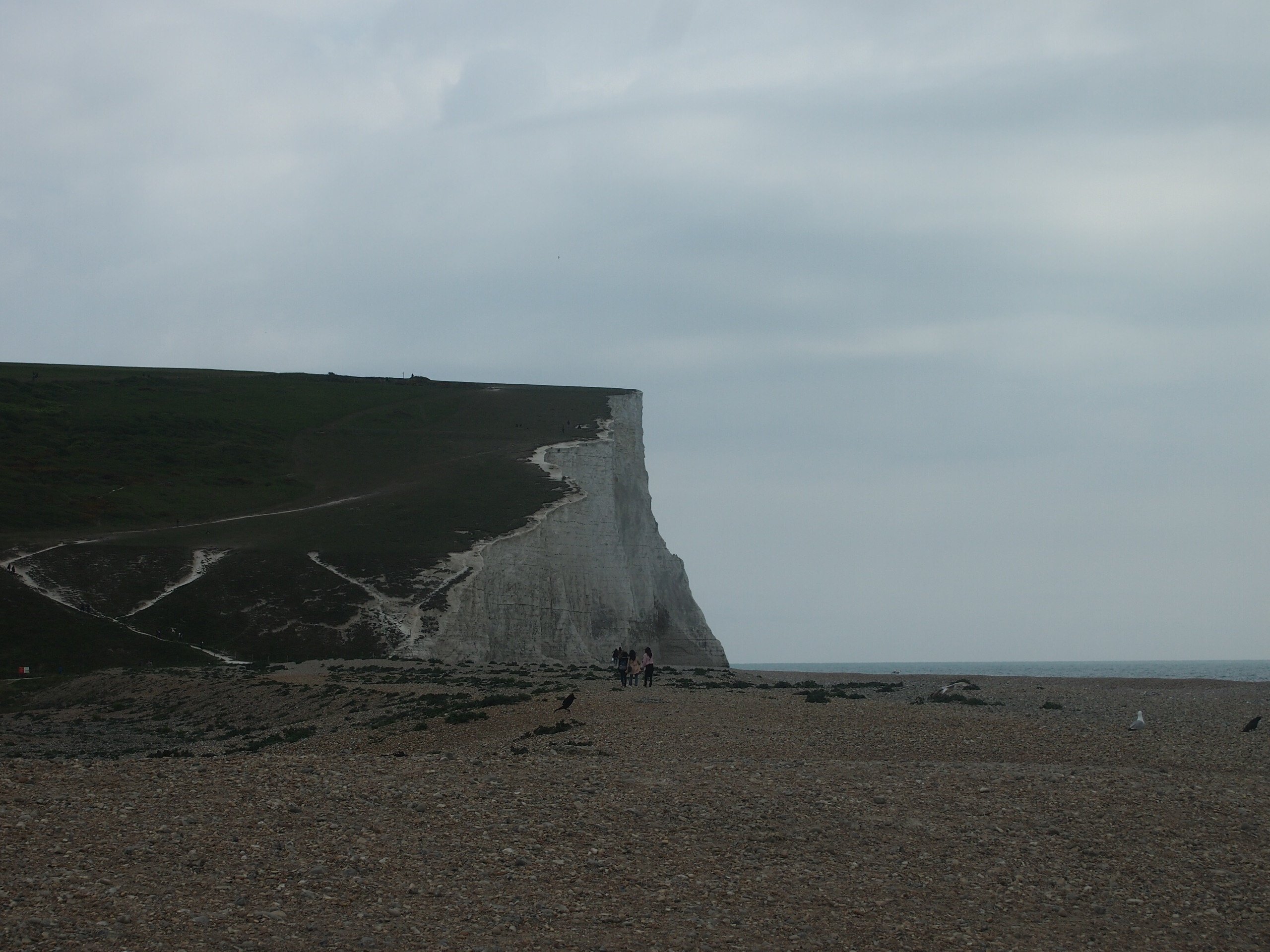 白亜の断崖・セブンシスターズ🏴|zak 白亜の断崖・セブンシスターズ🏴|zak