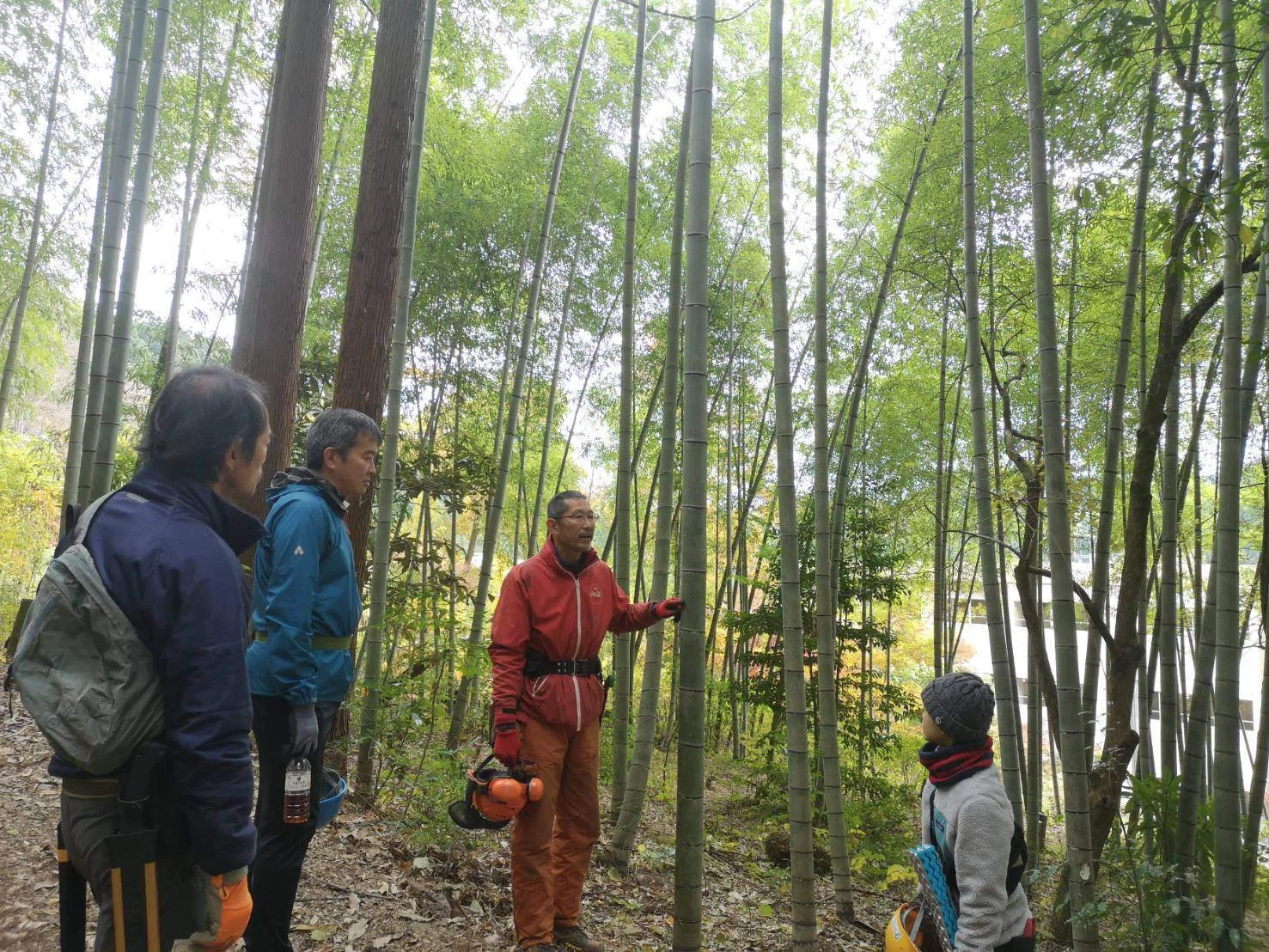 2023年度 第9回 竹林整備の巻｜枯れ沢復活&ホタルを飛ばす会