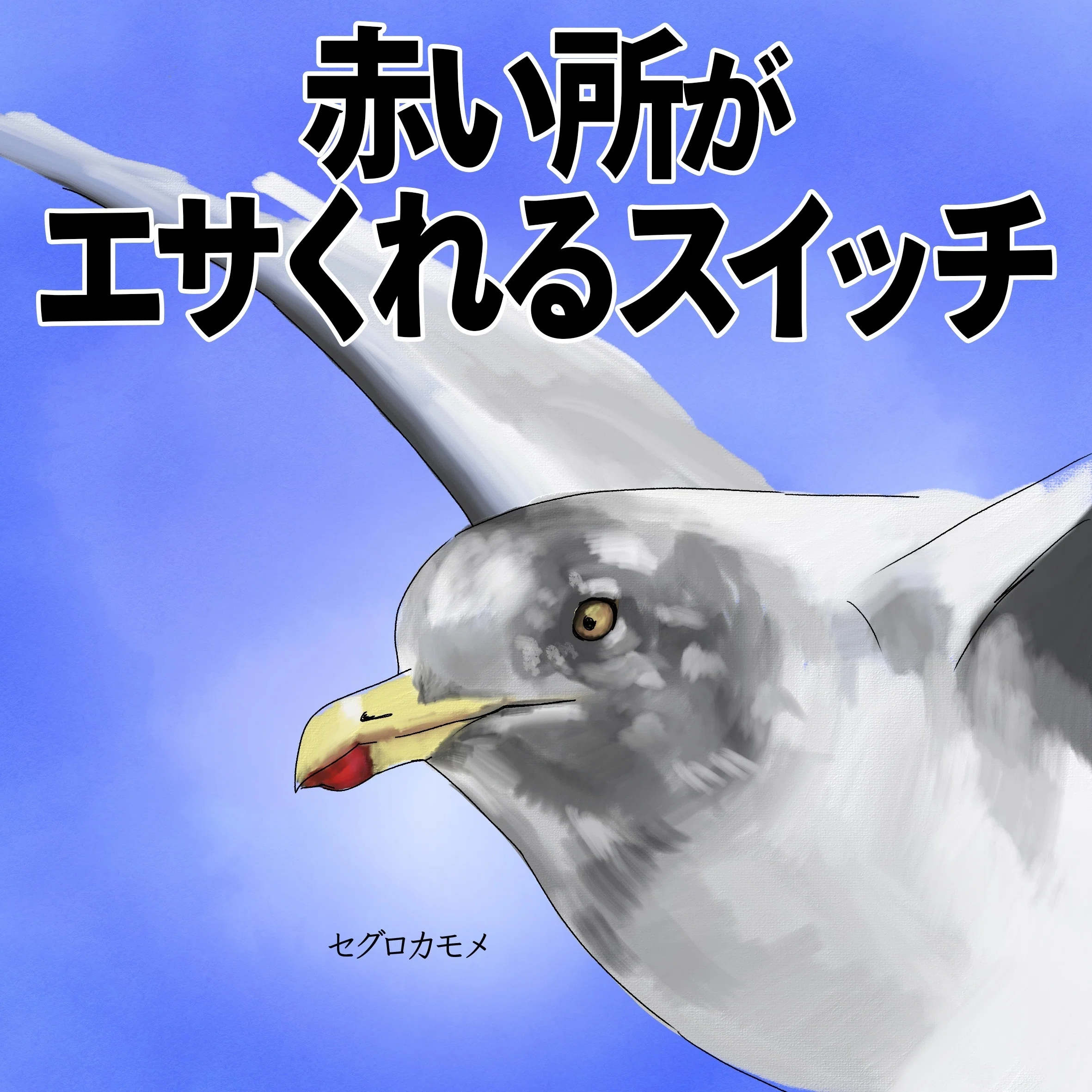 カモメのエサをくれるスイッチ｜くますけ｜自然ガイド・クリエイター