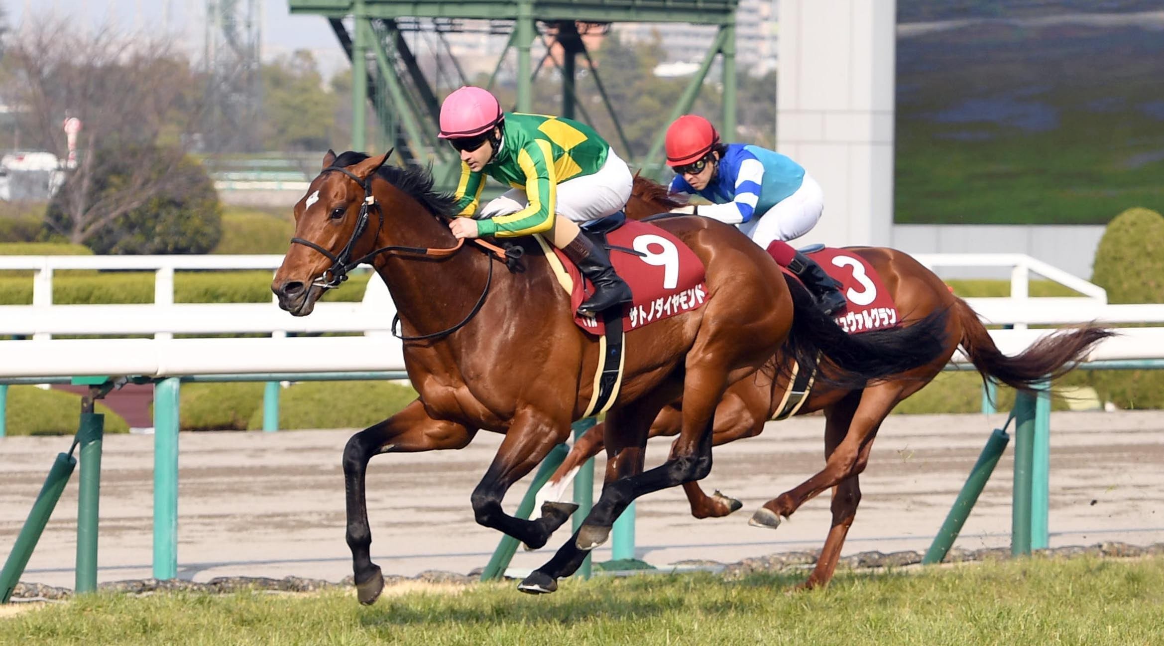 サトノダイヤモンドの阪神大賞典（G2）圧勝は必然か。過去「最強