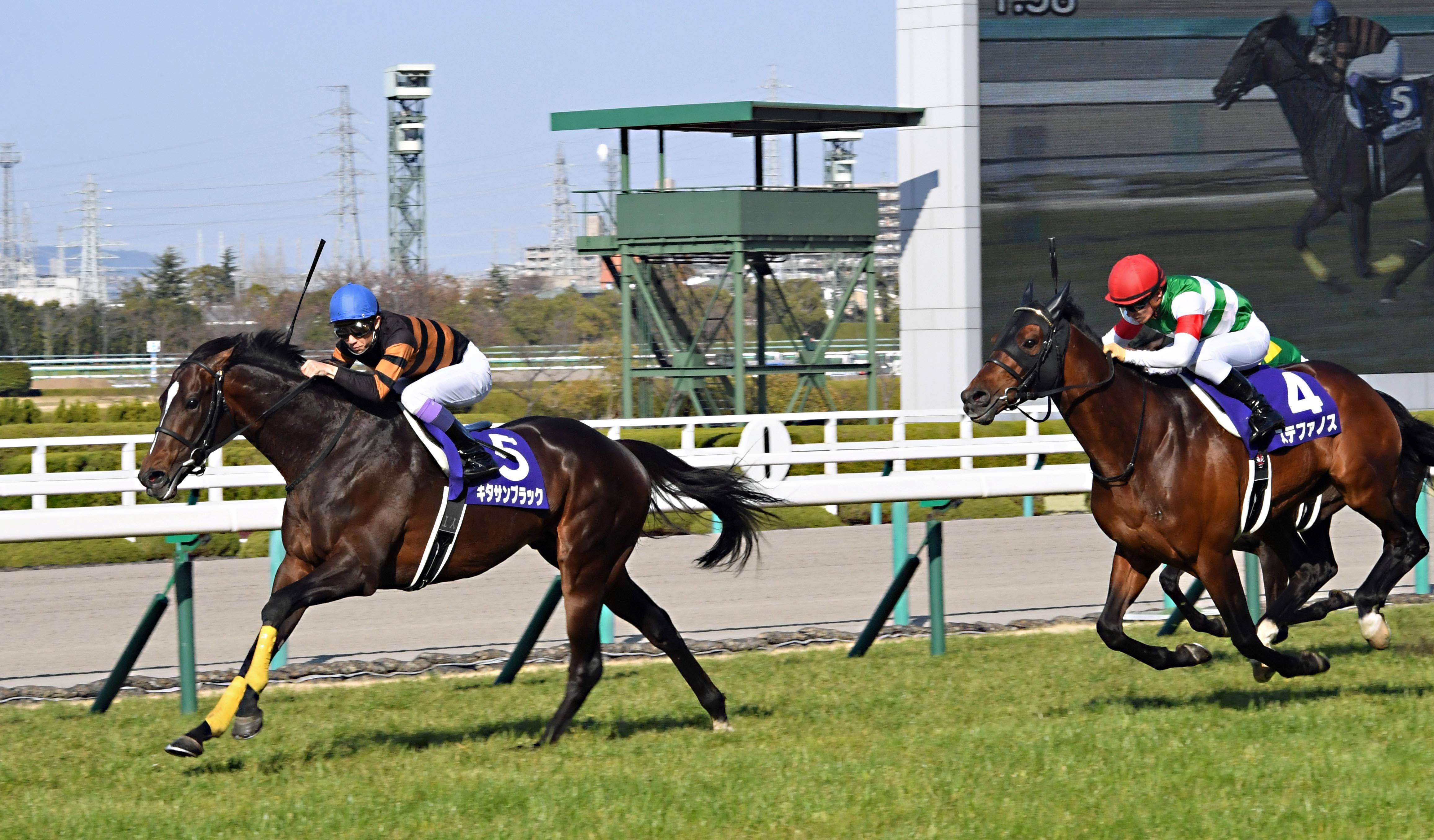 リベンジで膨らんだ夢 アニメ「ウマ娘」で描かれた天皇賞・春と直後の