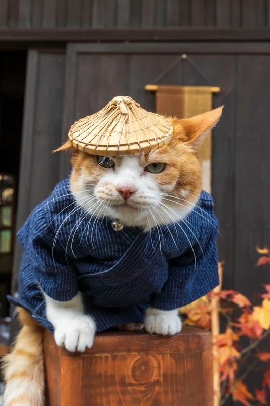 おもち様確認用　江籠さん生写真まとめその4 馬籠から妻籠へ 24-105mmズームレンズ写真日記 2023年11月23日