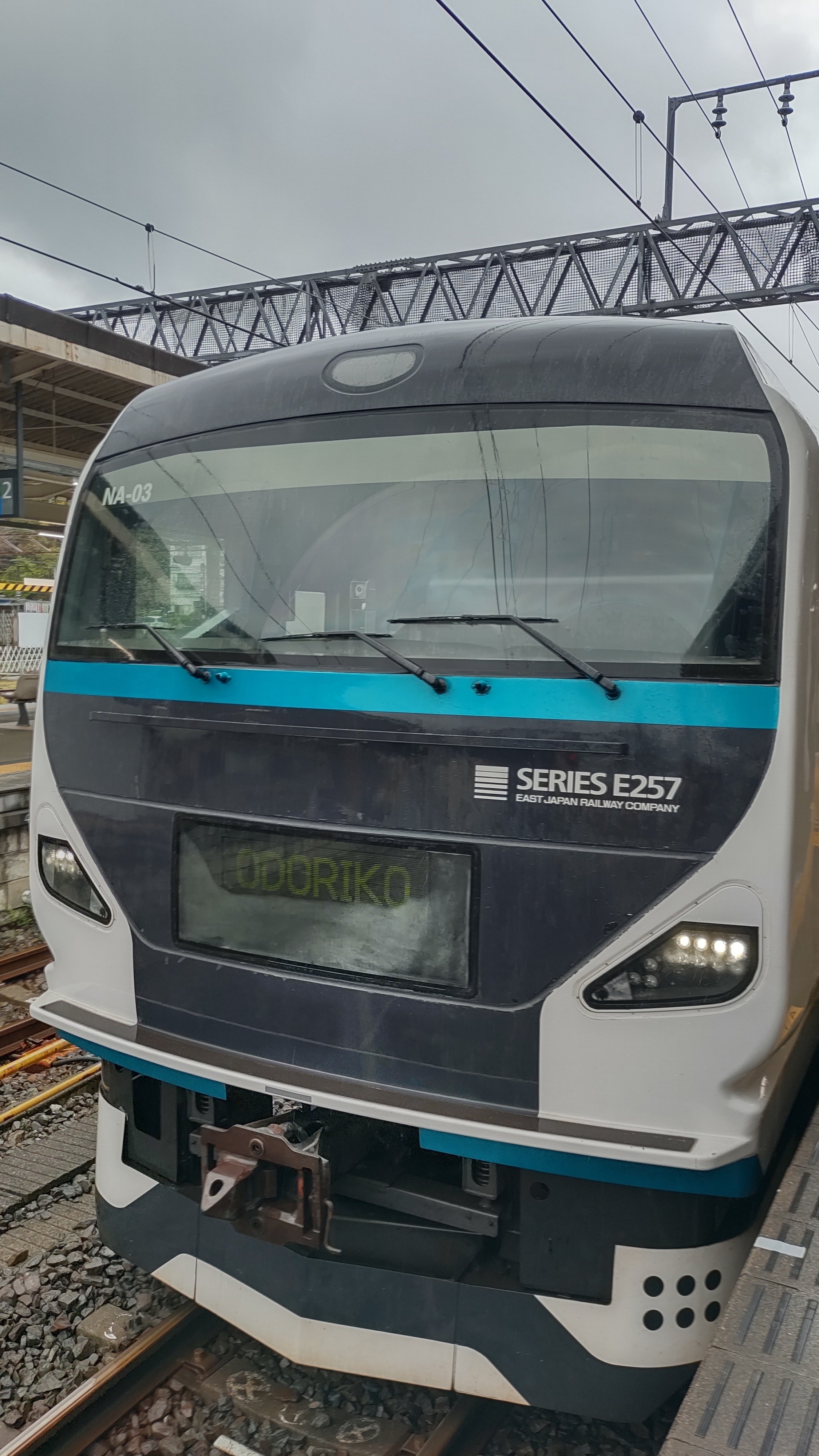 2】初めての「踊り子号」乗車記｜madaka_Railway