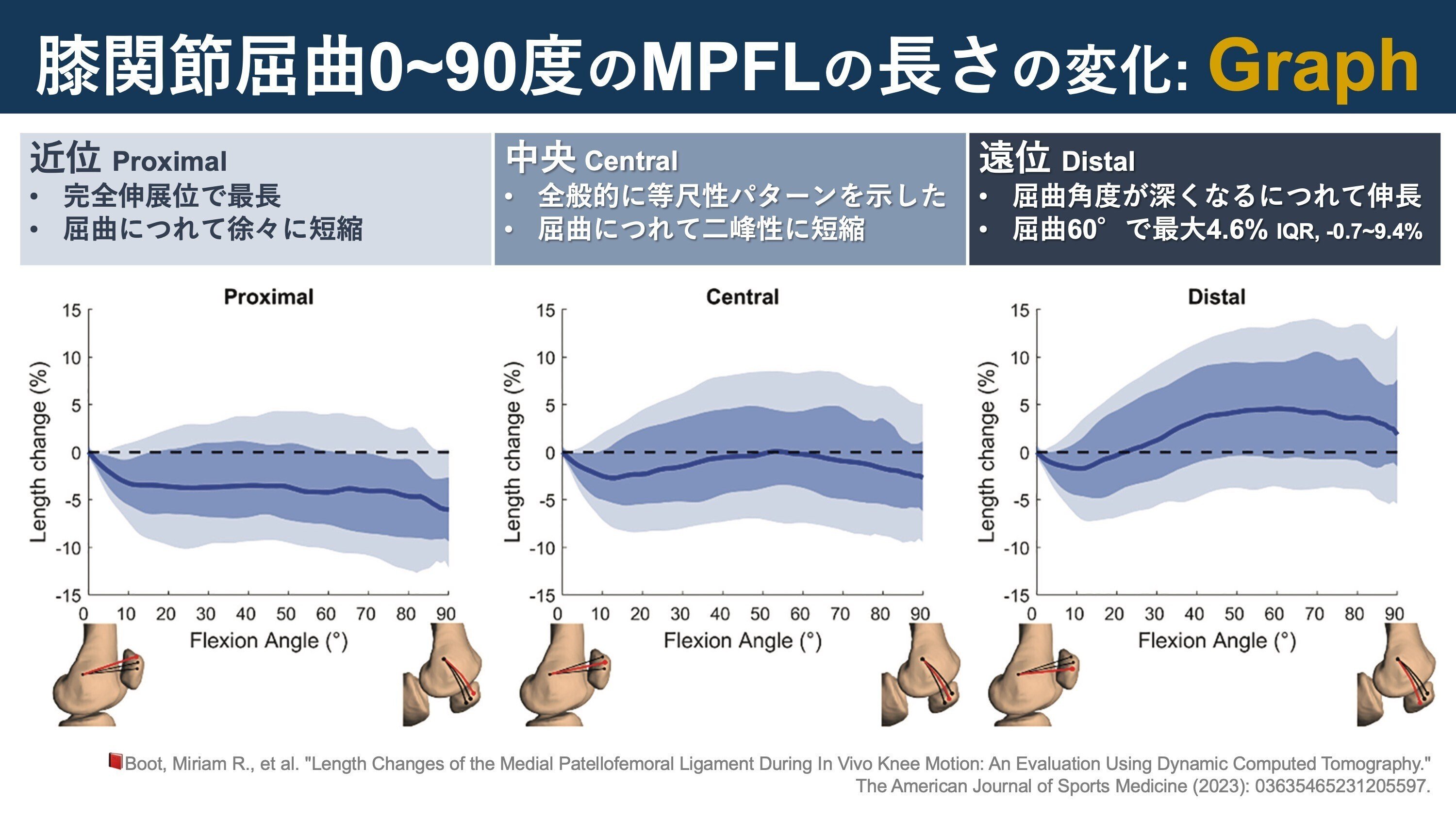 レア絶版初版本函付膝形態・機能と靭帯再建術W.ミュラー新名正由訳