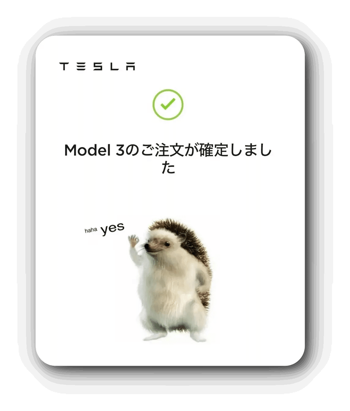 テスラのハリネズミぬいぐるみ haha yes テスラのハリネズミぬいぐるみ haha yes - メルカリ