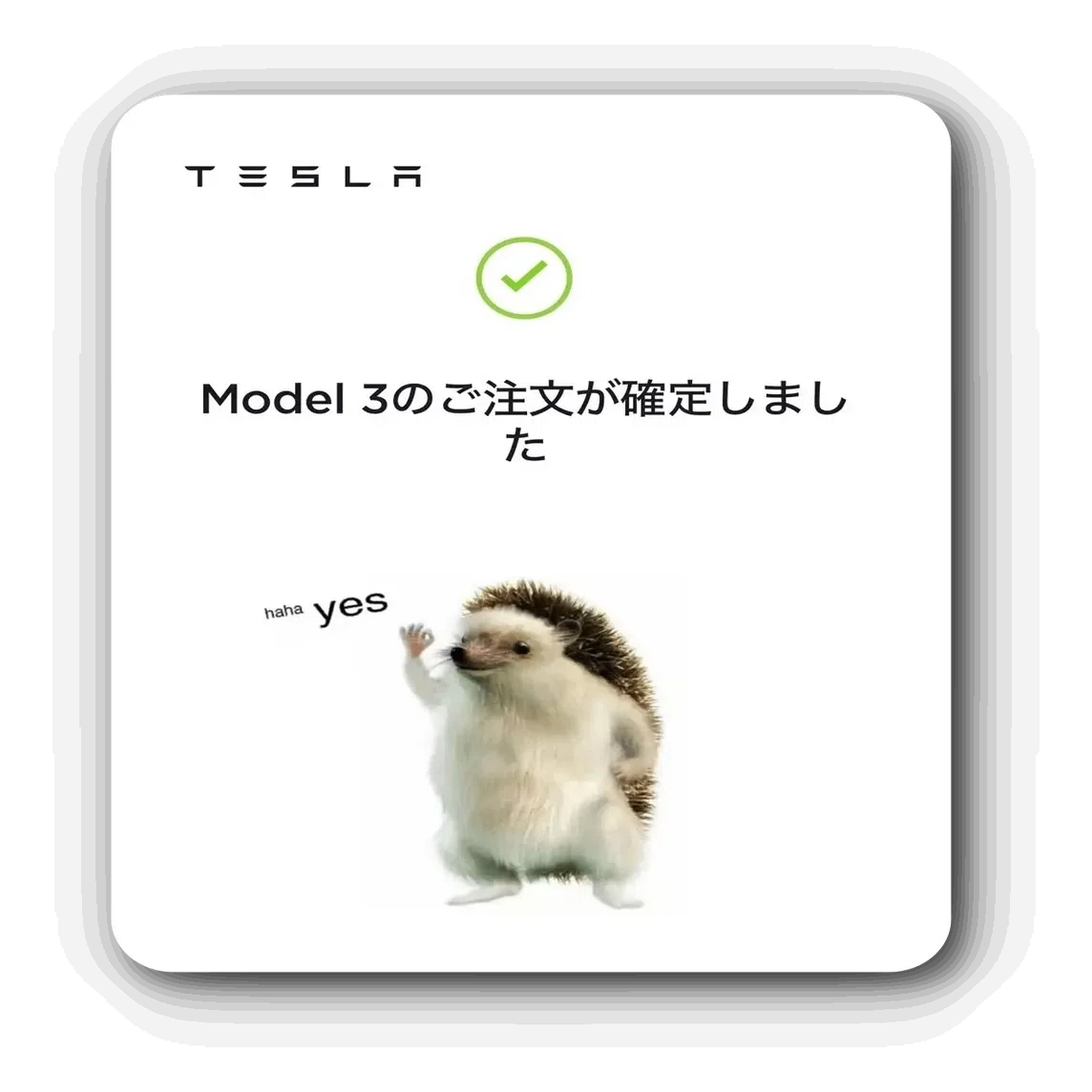テスラのハリネズミぬいぐるみ haha yes 【公式通販】