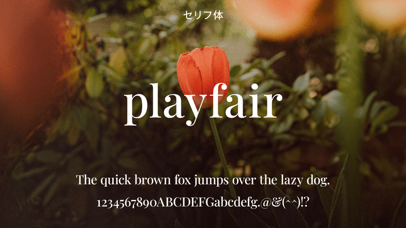 セリフ体、playfair、The quick brown fox jumps over the lazy dog.1234567890ABCDEFGabcdefg.@&(^^)!?