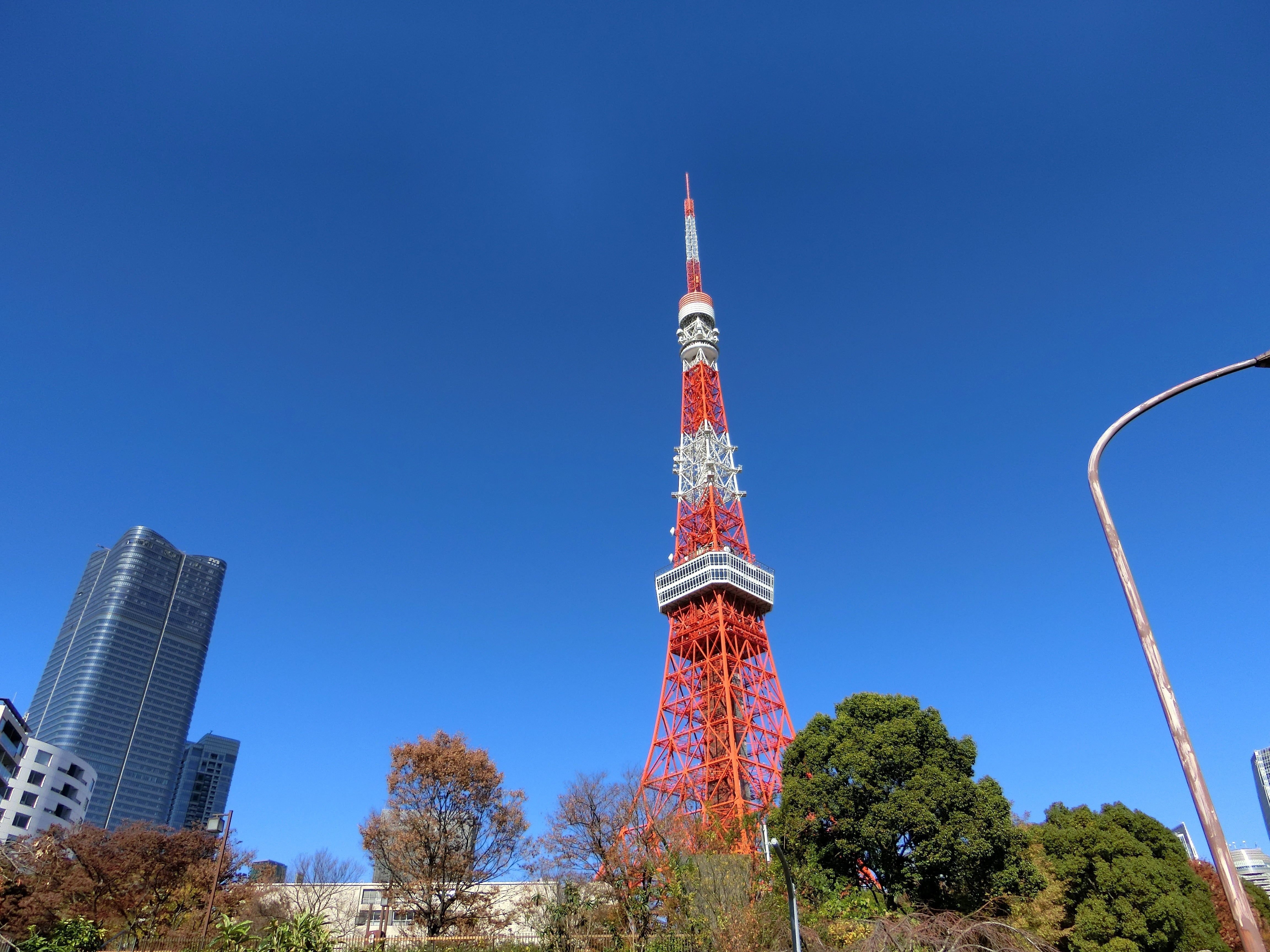 LamPlanning | ⁡ ⁡ ⁡ 【旅するマメしば〜東京浅草バージョン