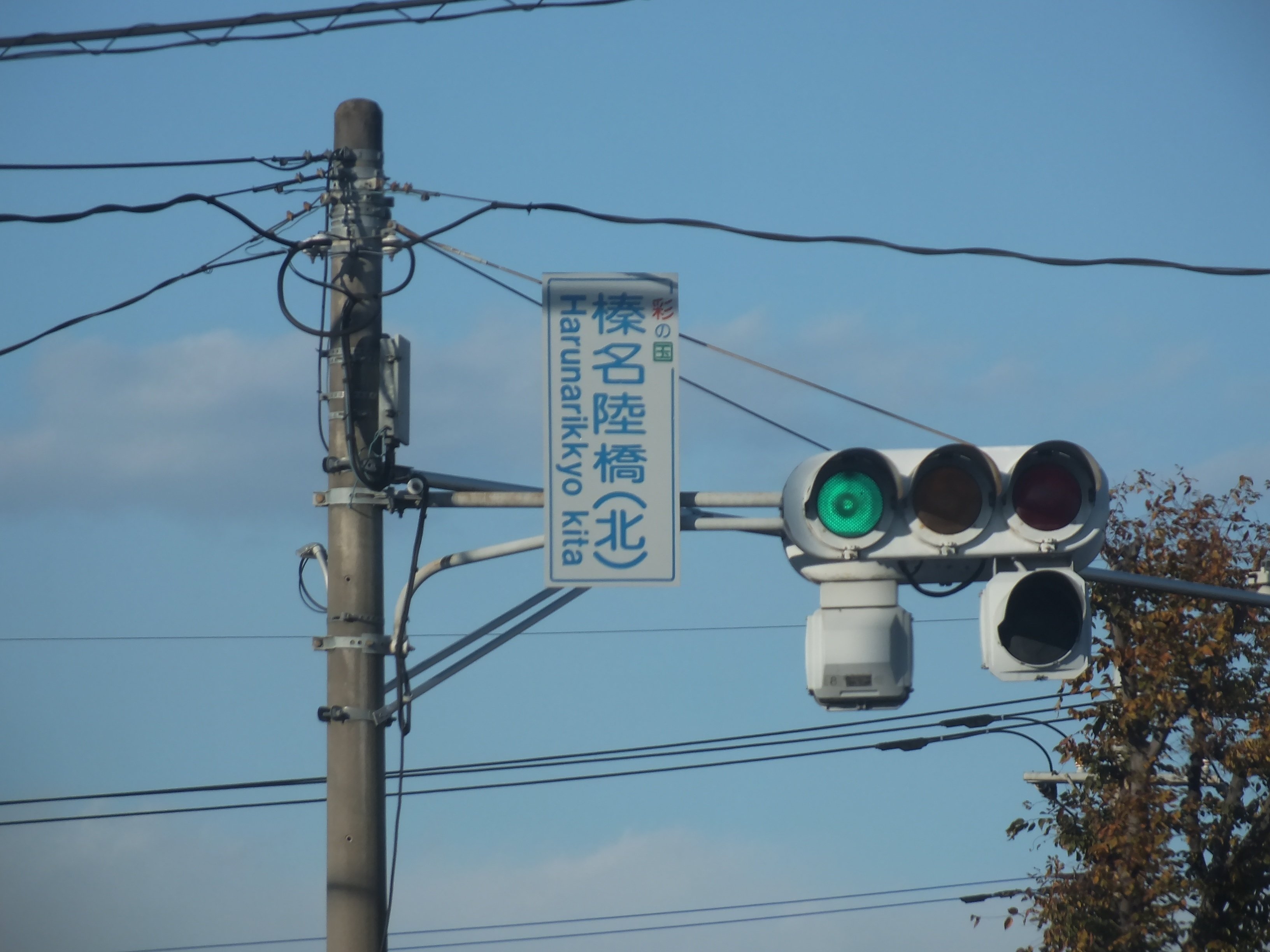 鴻巣市鎌塚4丁目で撮影した京三金属丸形ブツブツレンズ250㎜＋日信セパ