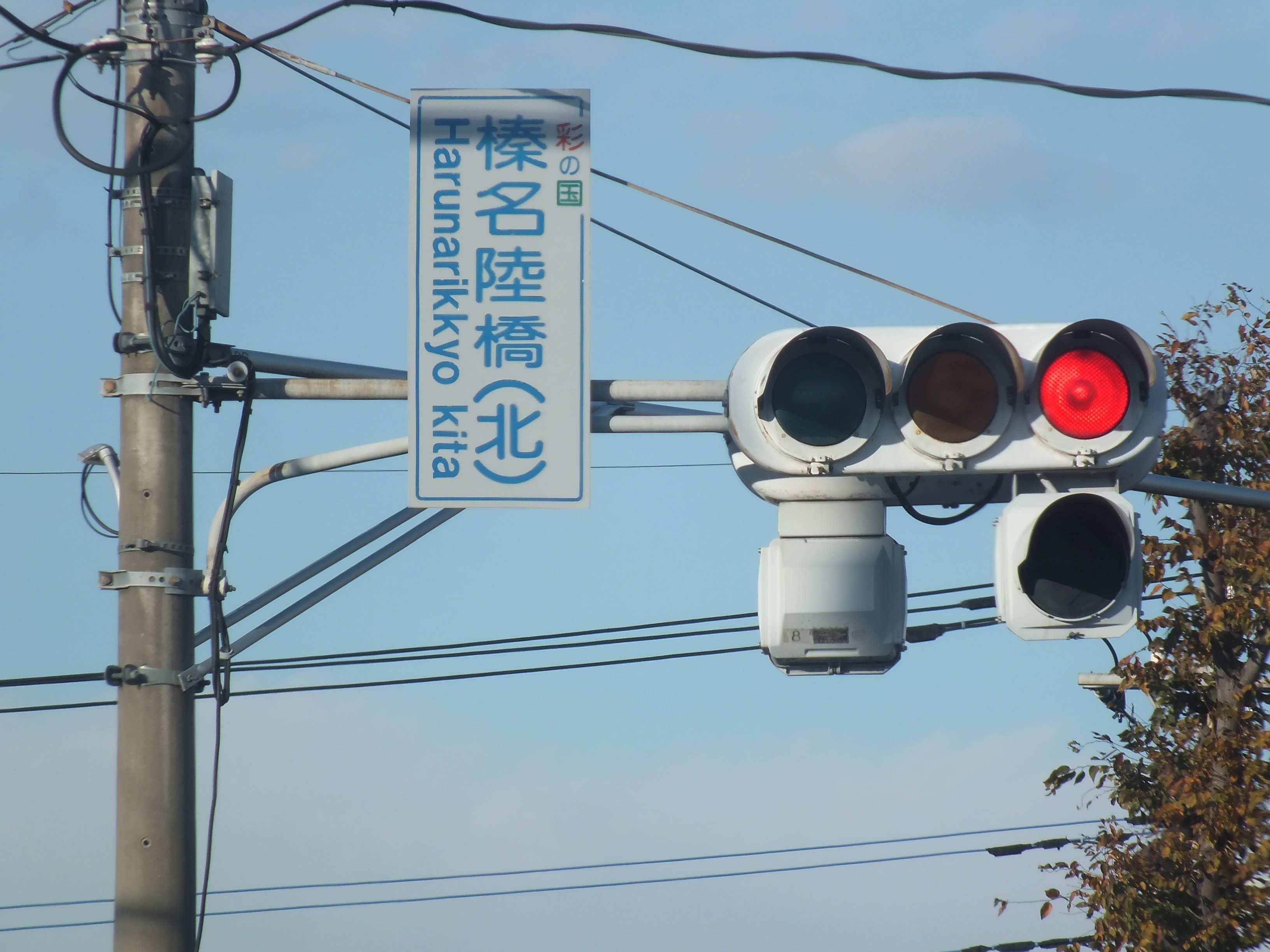 鴻巣市鎌塚4丁目で撮影した京三金属丸形ブツブツレンズ250㎜＋日信セパ