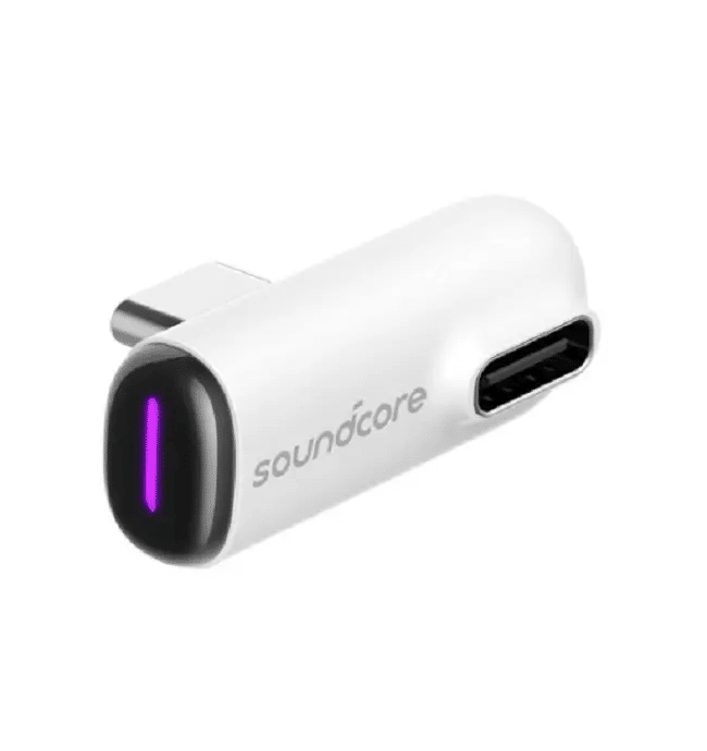 ワイヤレスイヤホン】Anker Soundcore VR P10｜和おじ