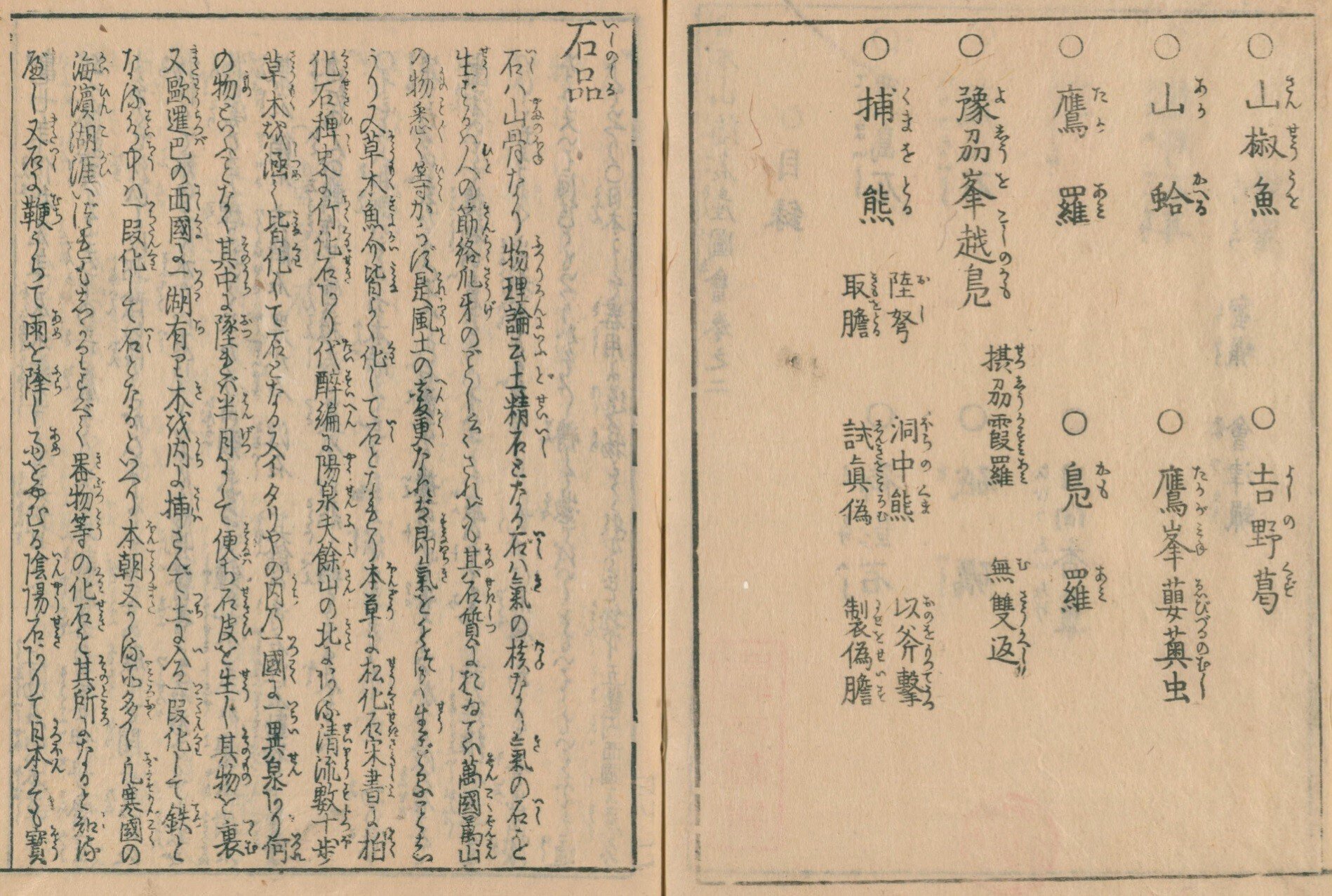 馬蹄石 夕凪観音 石仙 姿石 盆石(A598) 緋山酔恭「山水石美術館」 全国の水石・美石を紹介 菊花石 Ⅱ