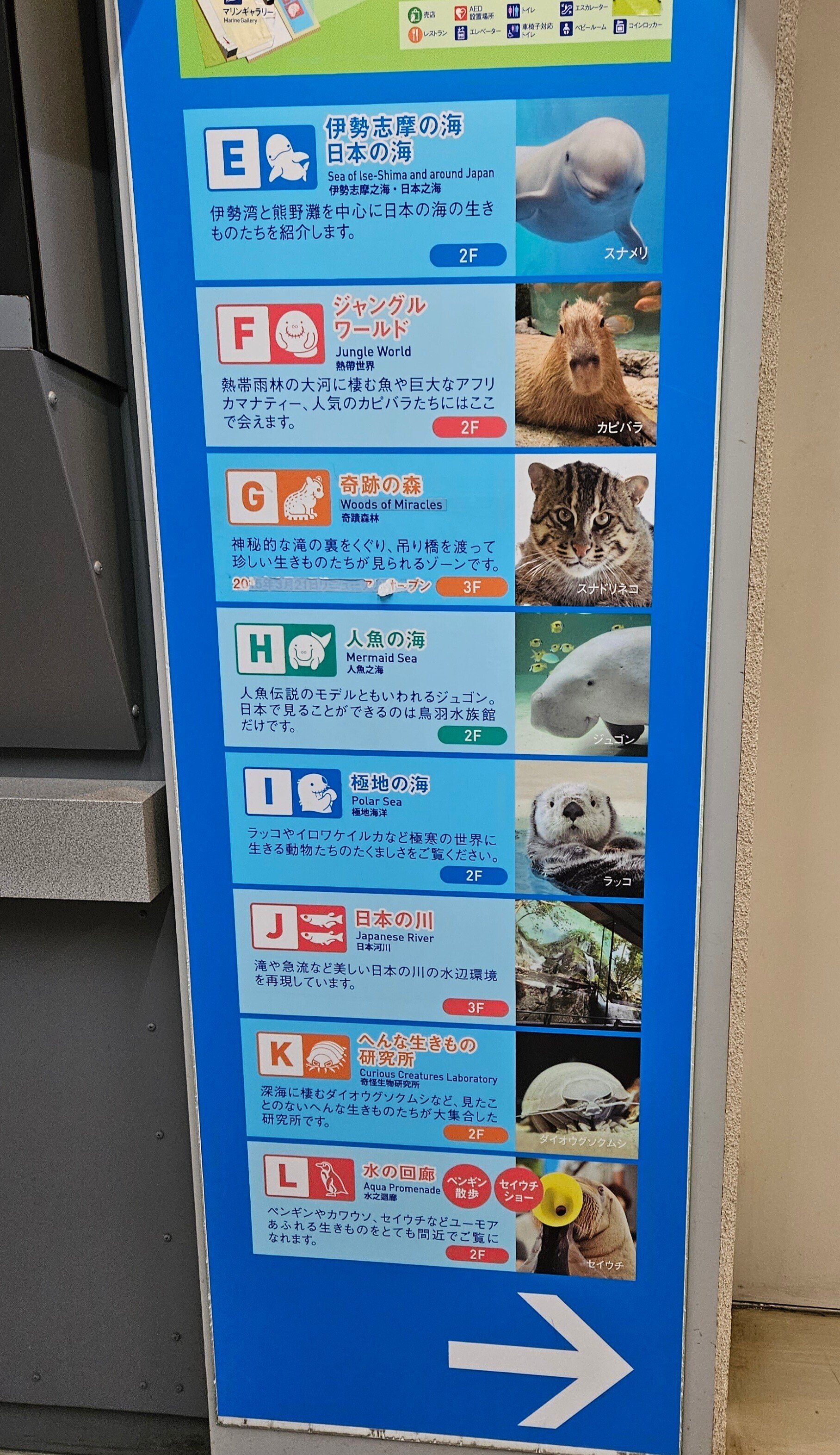 全国水族館の旅【13】鳥羽水族館｜美原さつき