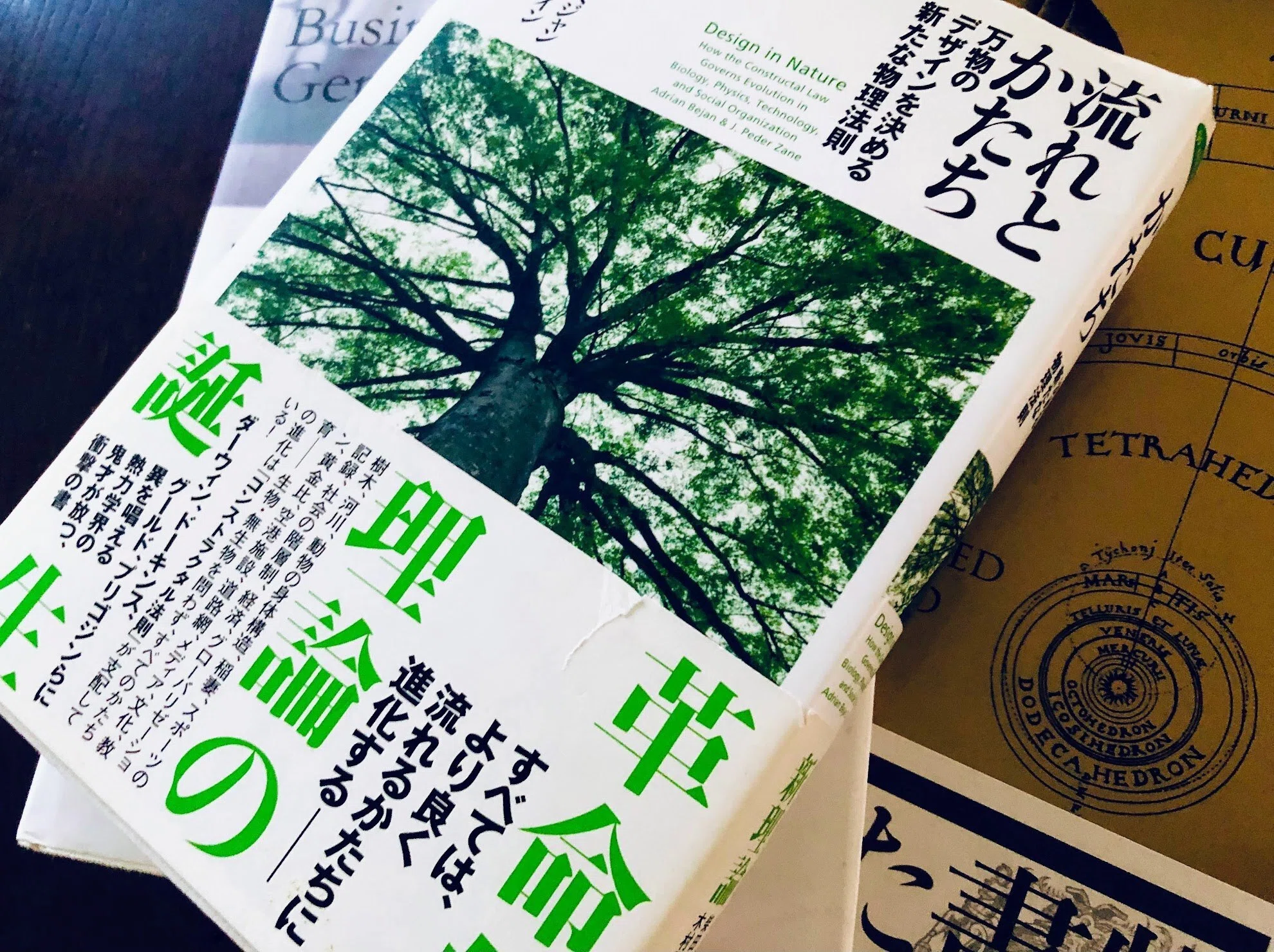 クリエイティブと自然の共振（自然から学ぶクリエイティブな知恵