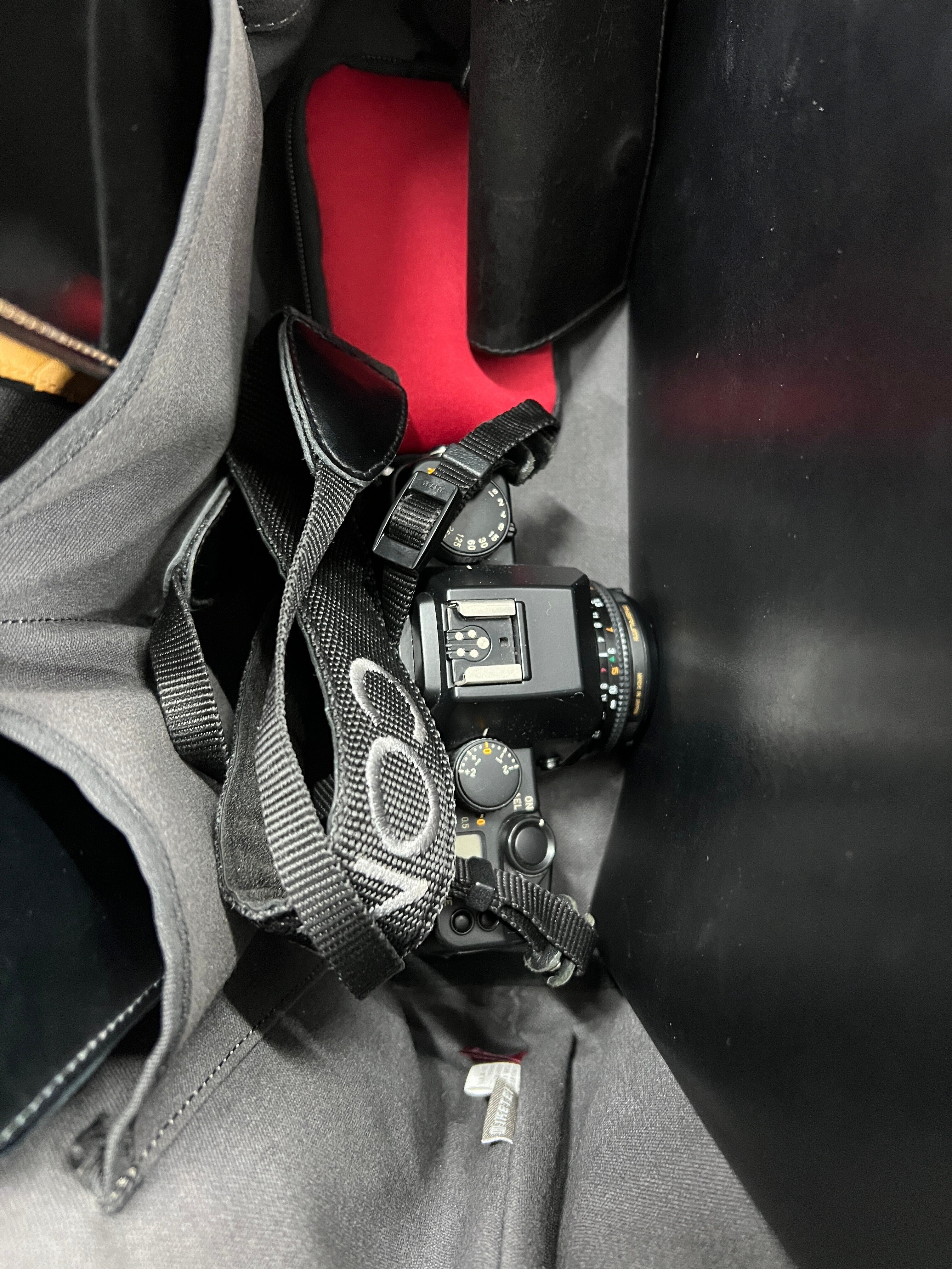 vol.235 Tessar T* 45mmF2.8｜緋色のHiro（写真を撮る人）