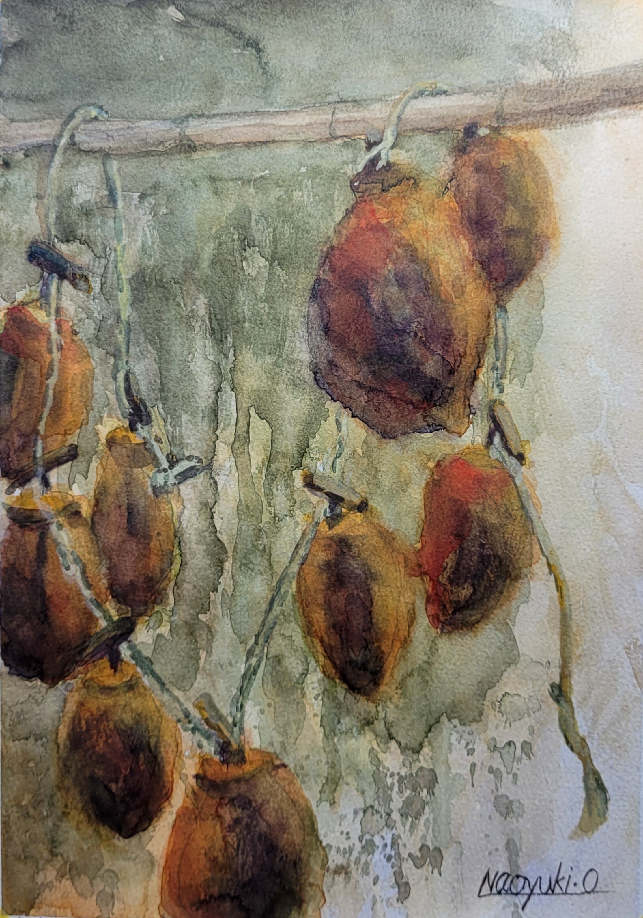 干し柿」（透明水彩A4）｜おおもり なお【大森尚行】