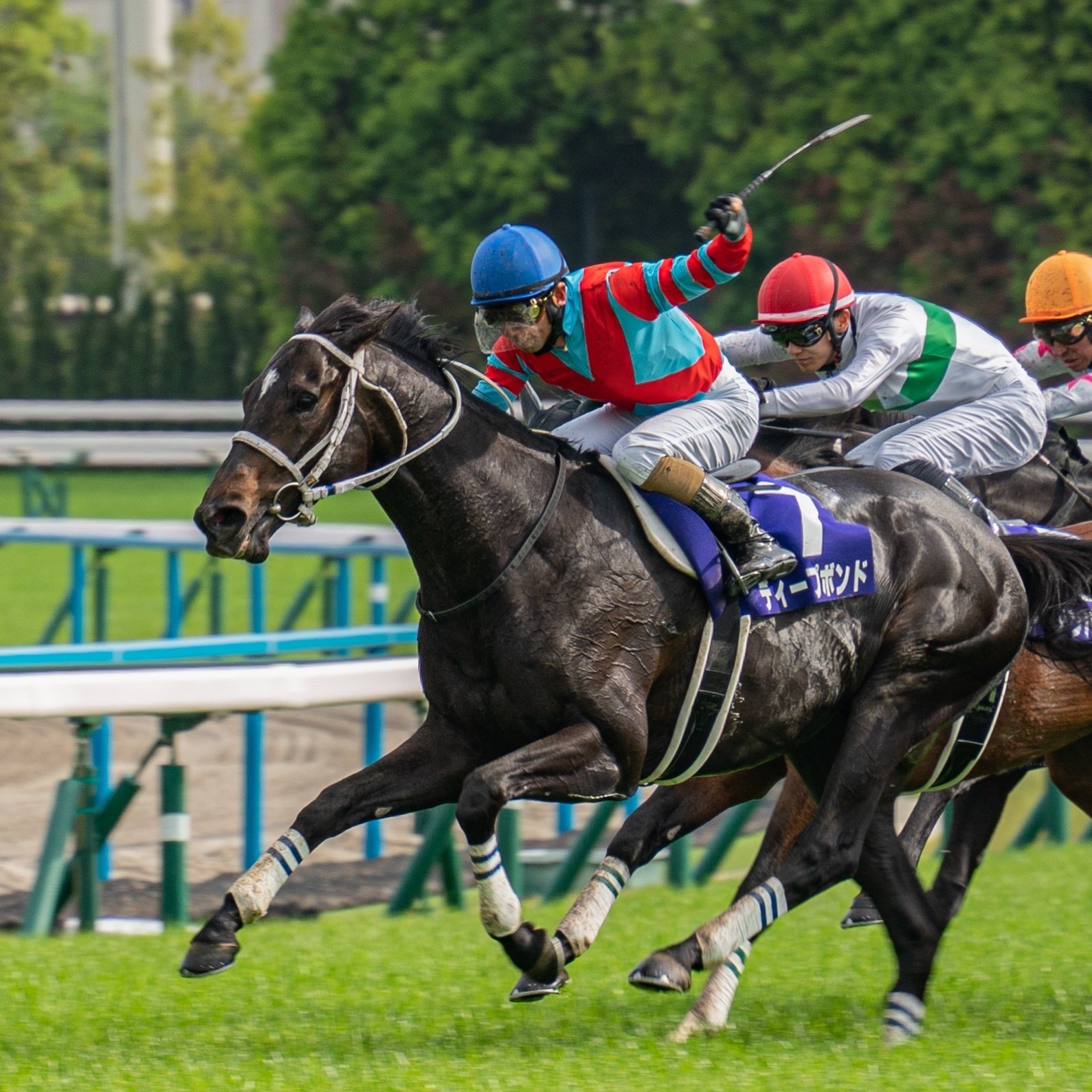 今からでも間に合う！！競馬場で便利なカメラと映える撮影方法｜枕木らくま