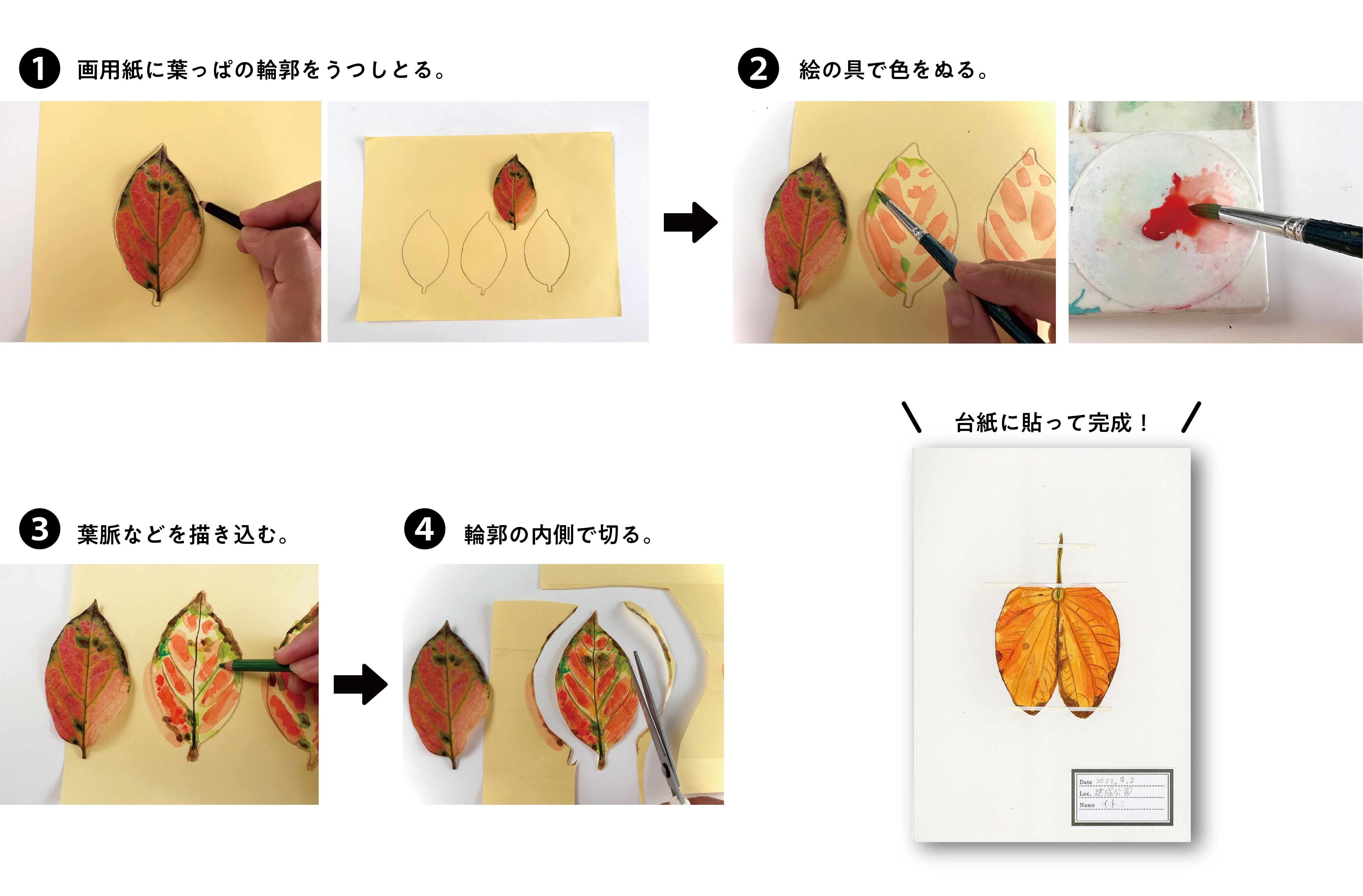 紙葉の家（帯・別紙付属） 紙葉の家 | マーク・Z. ダニエレブスキー