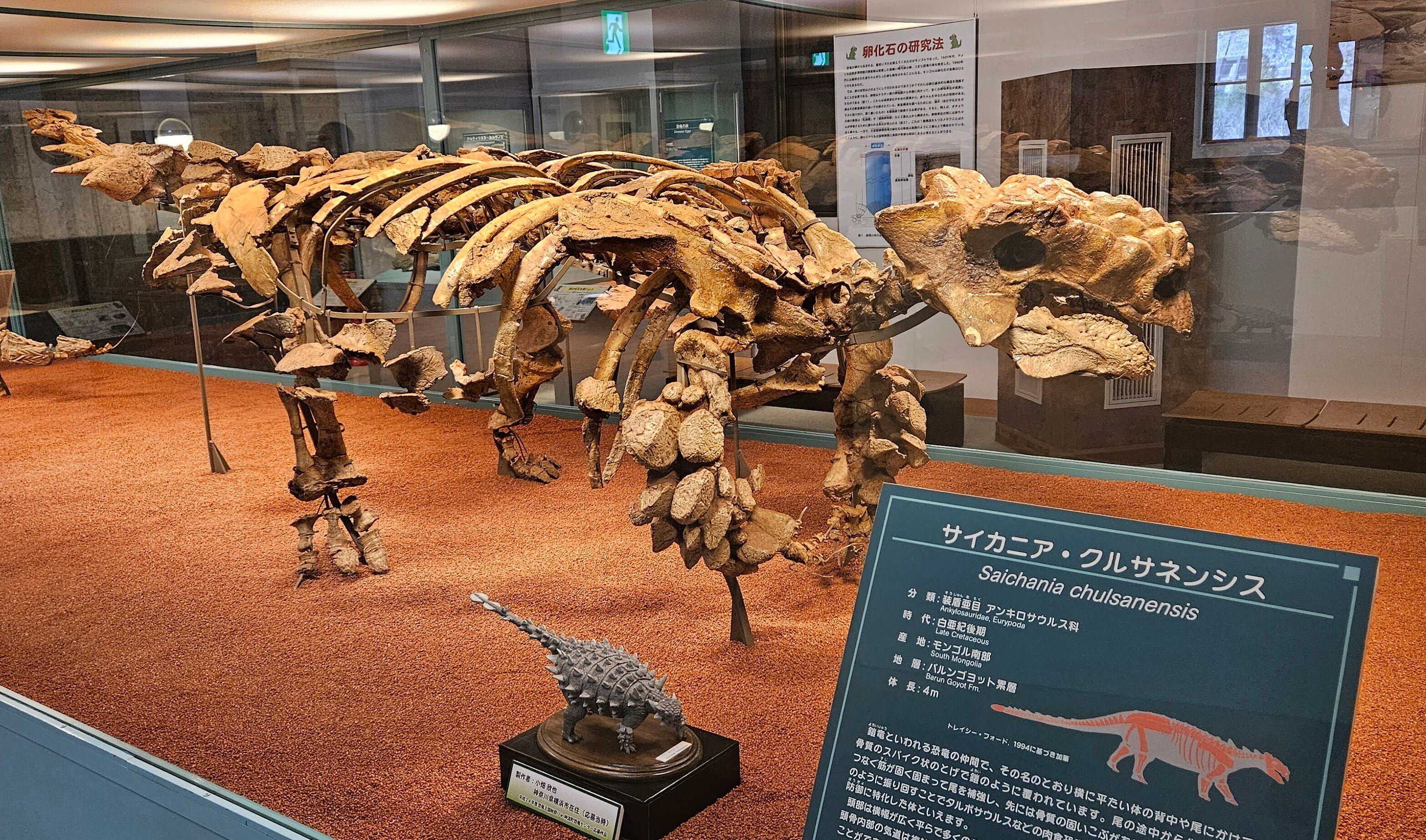 全国自然博物館の旅【14】神流町恐竜センター｜美原さつき