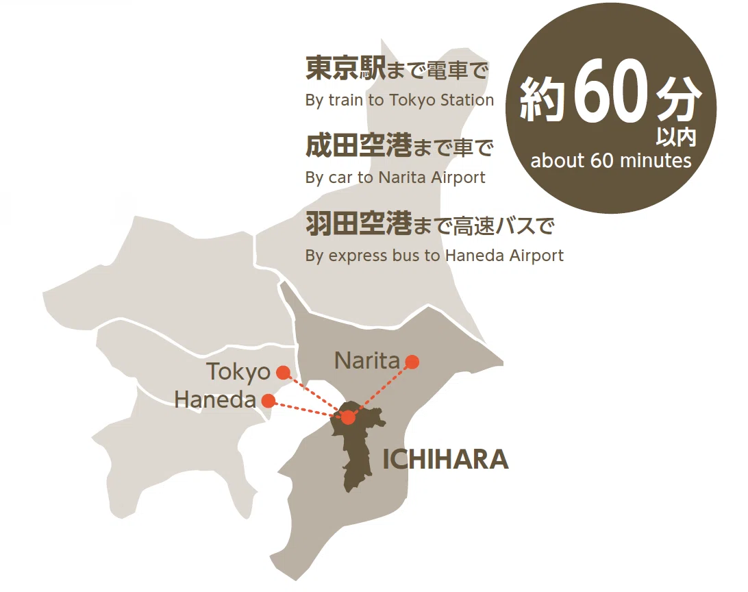千葉 県 市 原市