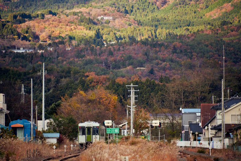 小川郷駅に停まる電車と紅葉した山々