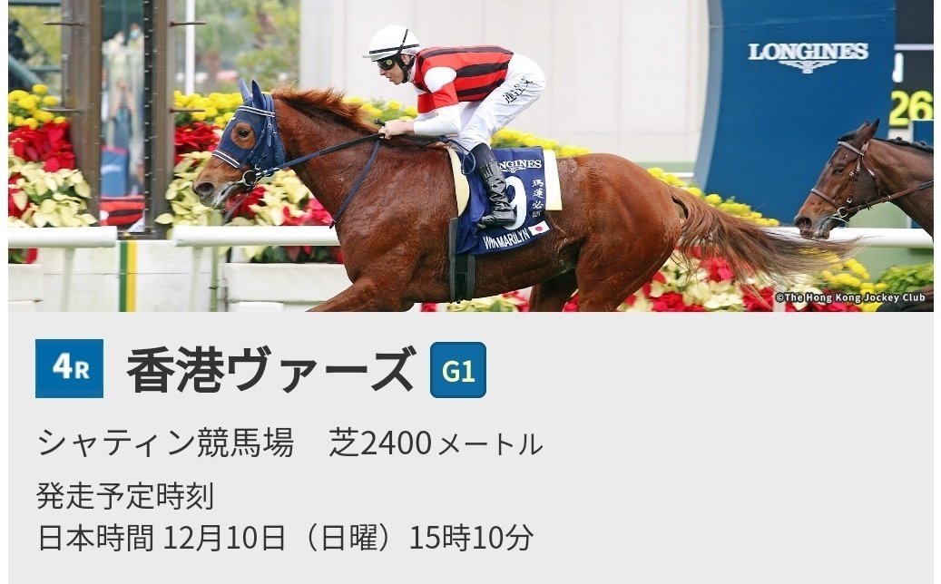 2019年開催 香港国際競馬 日本馬記念馬券-