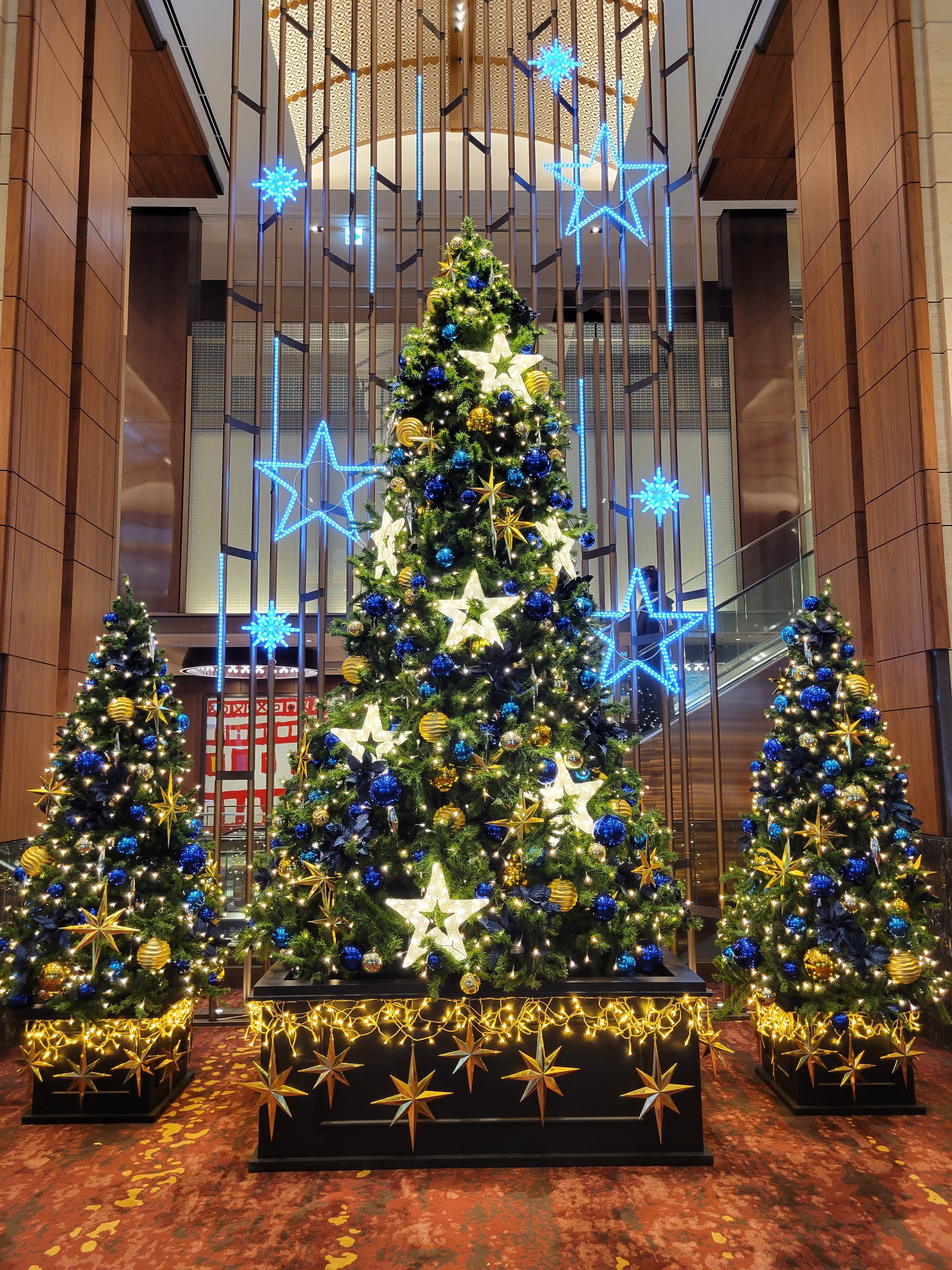スマホ写真】クリスマスツリー狩り✨🎄✨Merry Christmas 2023｜Yukihiro🧸