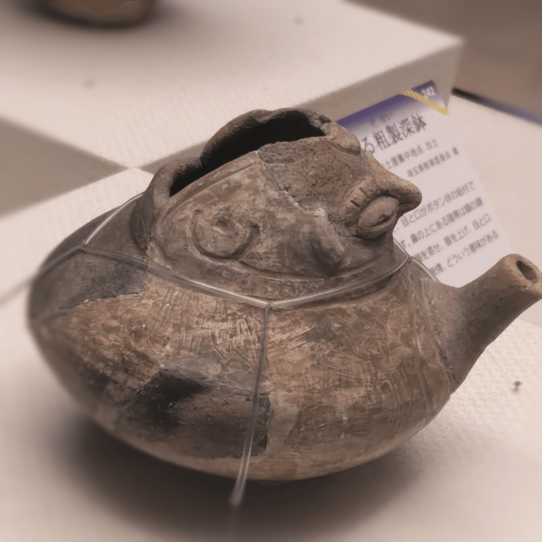 縄文人も興味津々？『縄文コードをひもとく』展｜埼玉県立 歴史と民俗