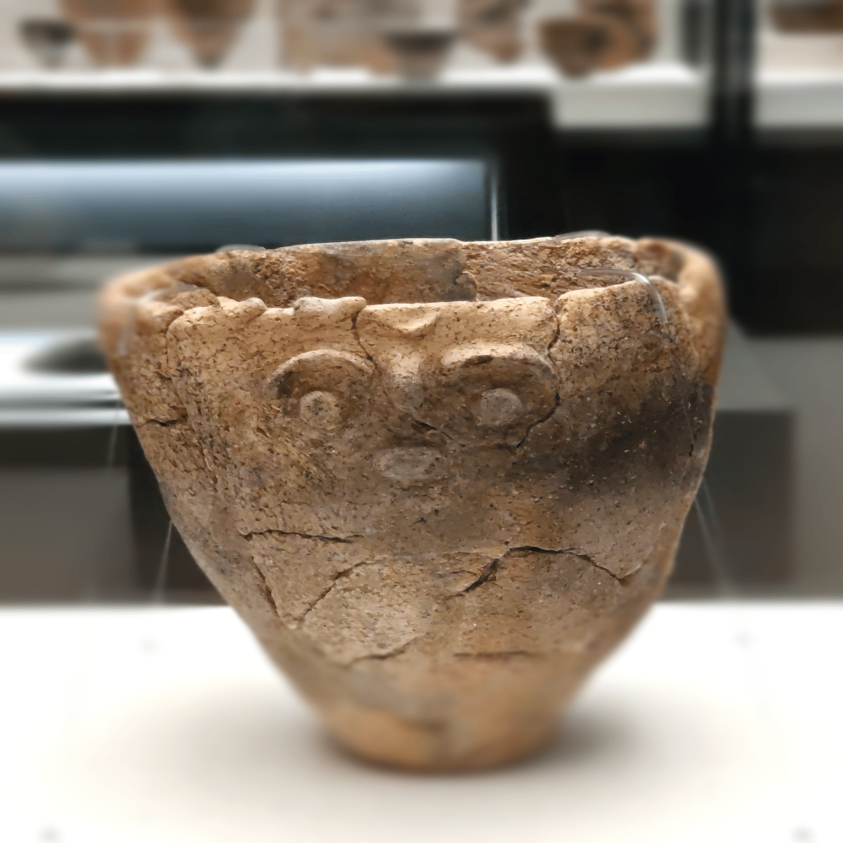 縄文人も興味津々？『縄文コードをひもとく』展｜埼玉県立 歴史と民俗