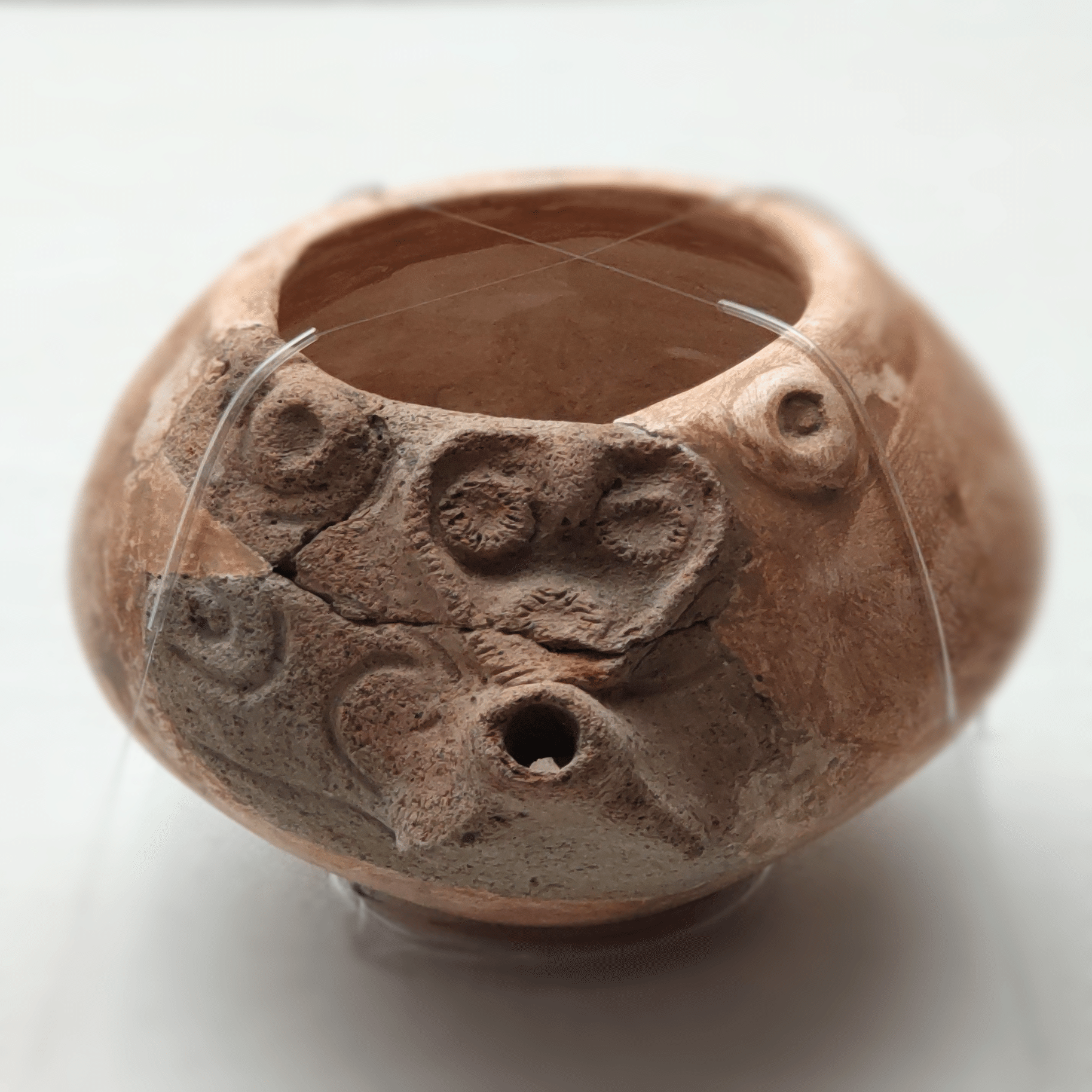 縄文人も興味津々？『縄文コードをひもとく』展｜埼玉県立 歴史と民俗