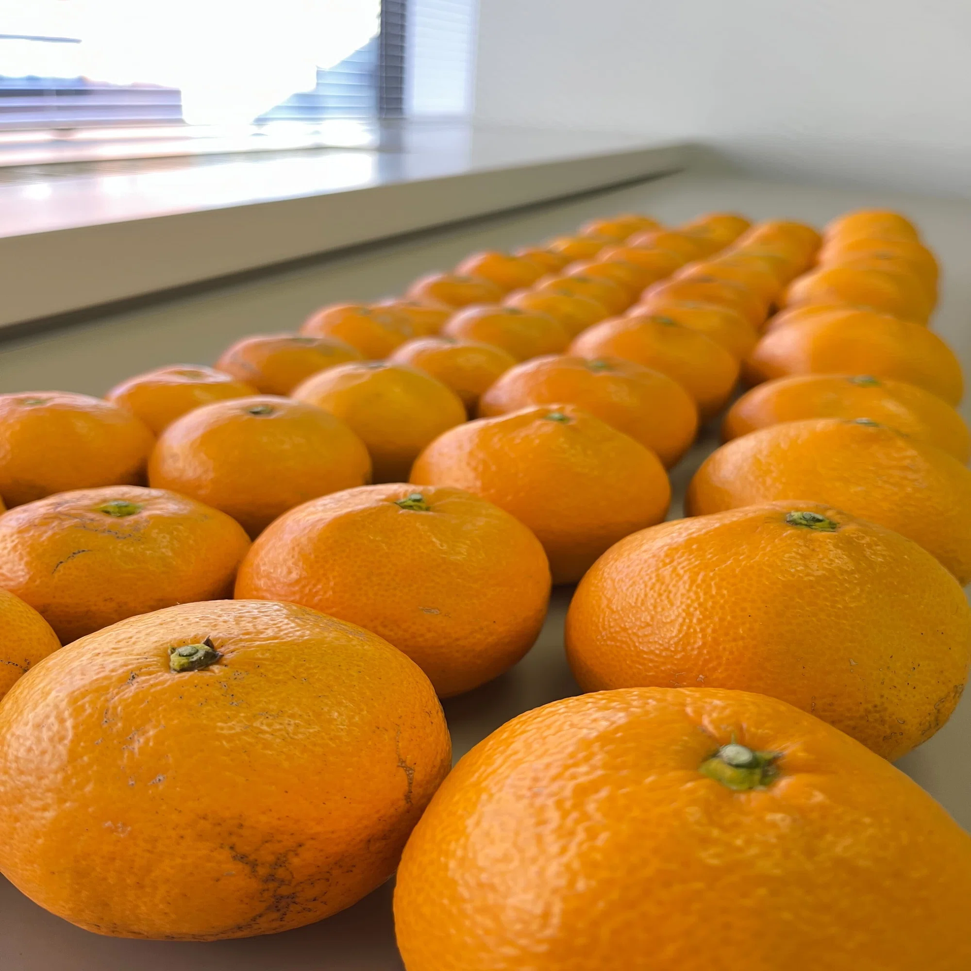 ウワサ検証】みかんを食べたら皮膚が黄色くなるのか？｜COCO.library