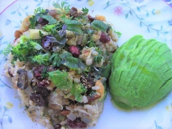 気づけば10年！ゆる～く続ける 玄米菜食生活の備忘録｜wisdomjapan