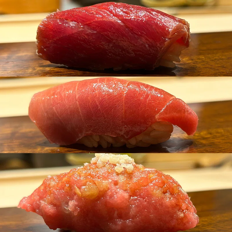 活動歴および当時の関連ビジュアル記録