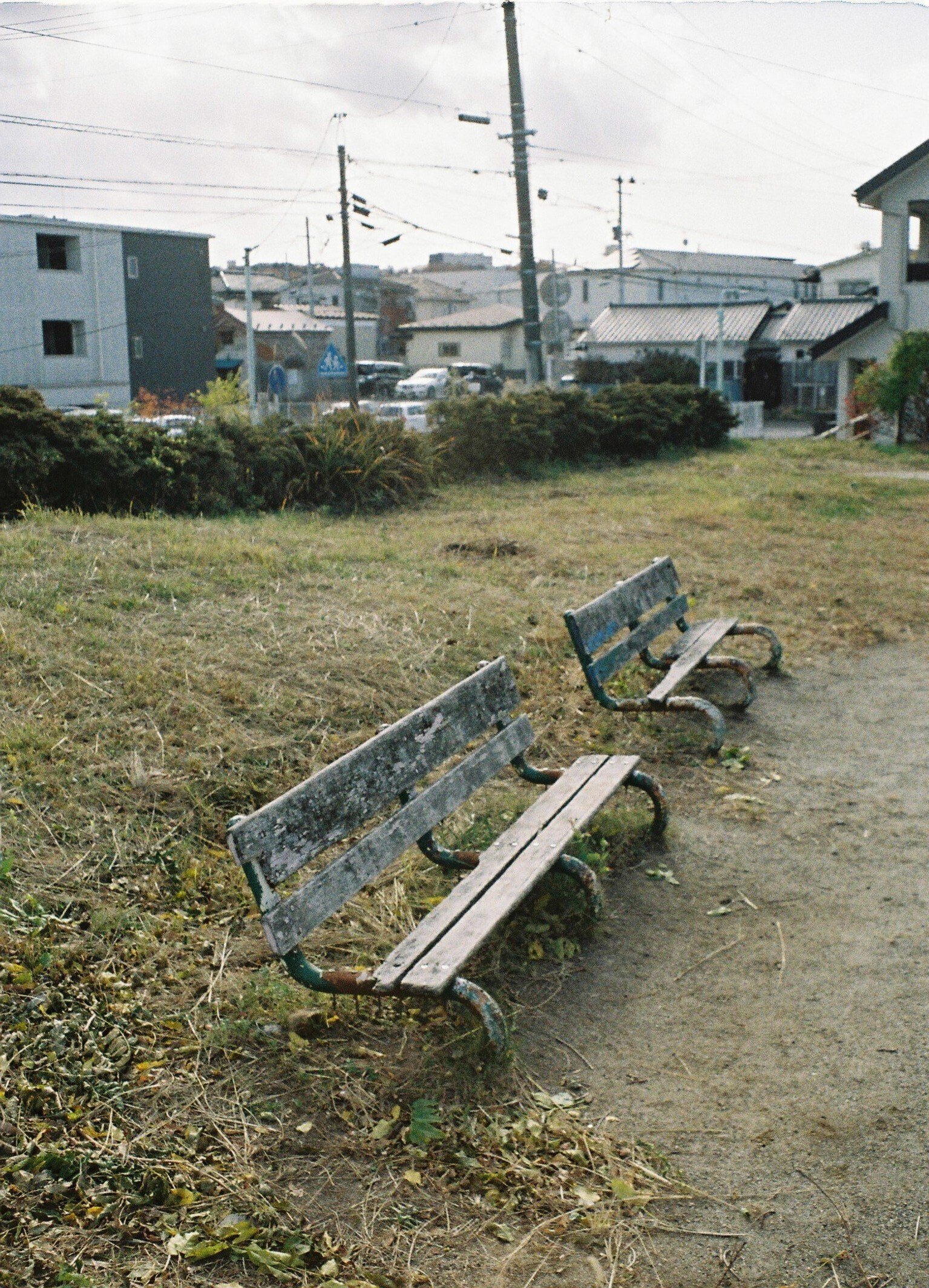 E.Zuiko 25mm f4がやってきた|おしゃま E.Zuiko 25mm f4がやってきた|おしゃま