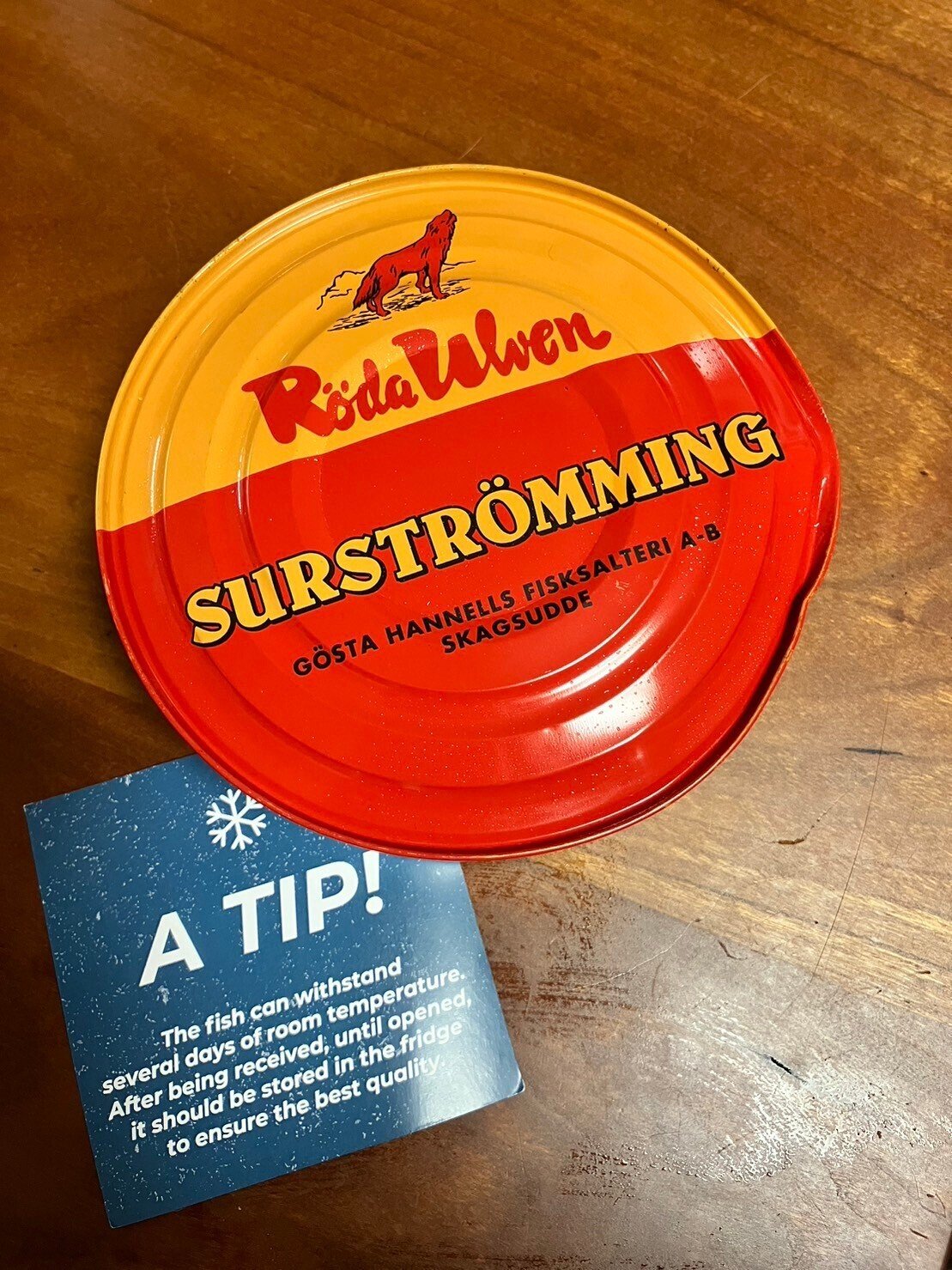 敗戦の追憶 -シュールストレミングという悪夢- #035｜つなまよ日記