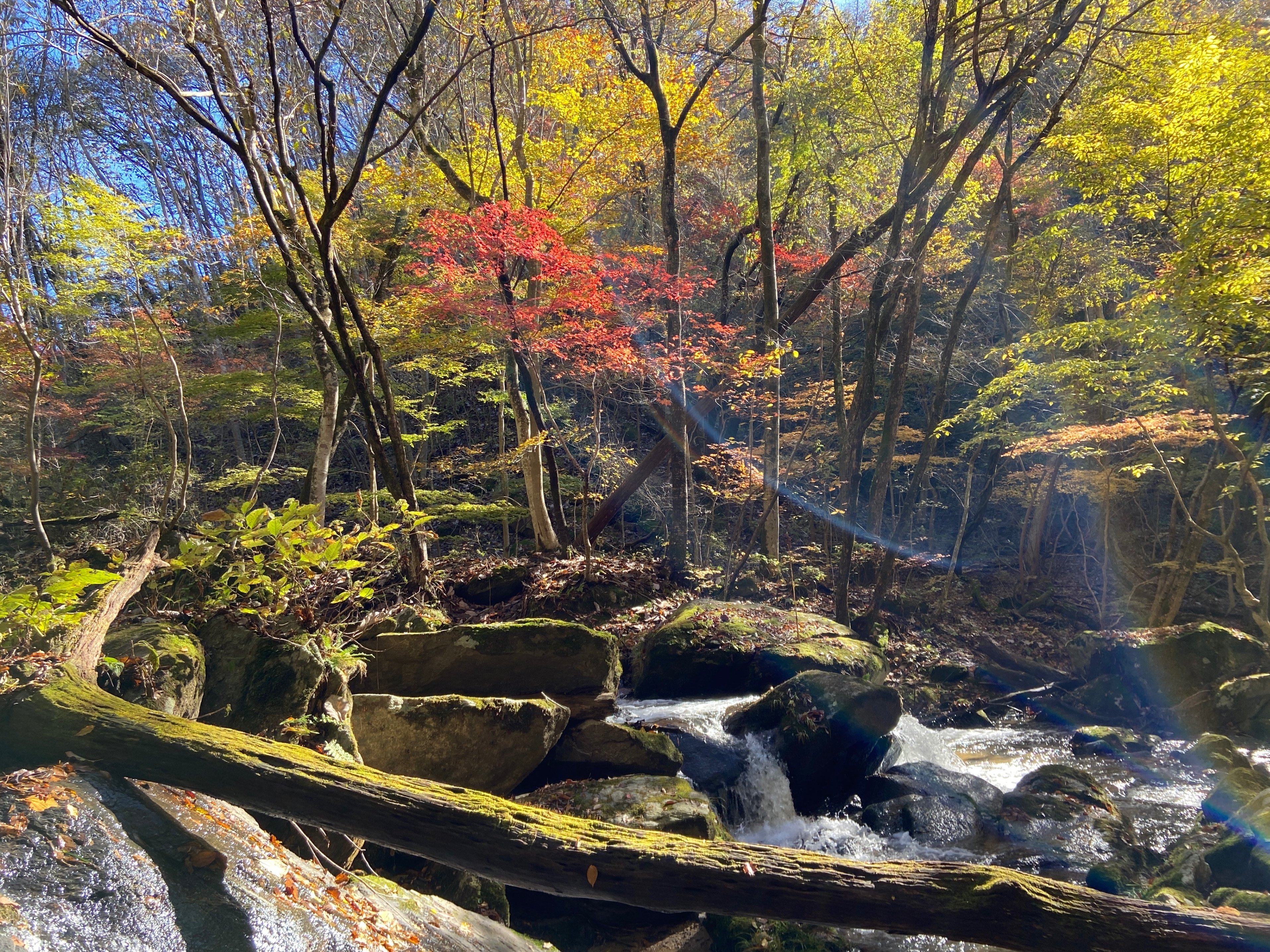 渓流と飛瀑が心を浄化。水の音を聴きながらマインドフルネス〜滝川渓谷