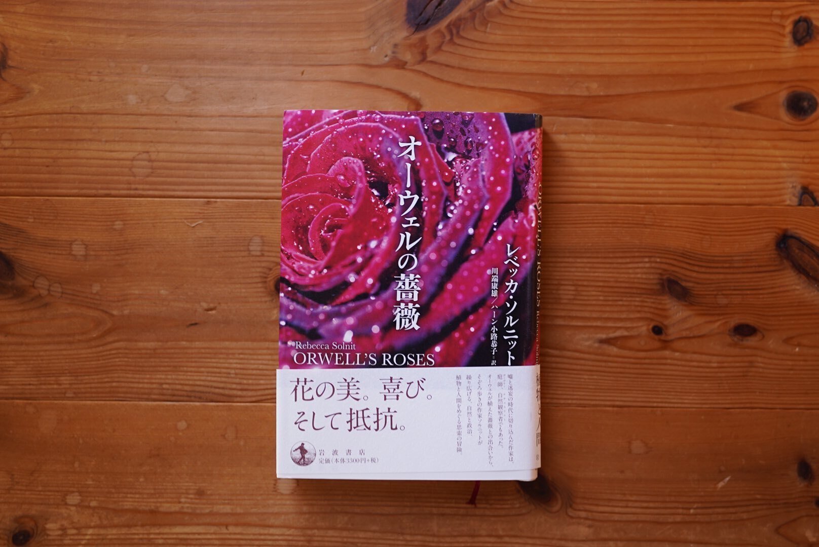 危険な足場での冒険が命取りに。36歳男性が「闘竜灘」で命を落とす
