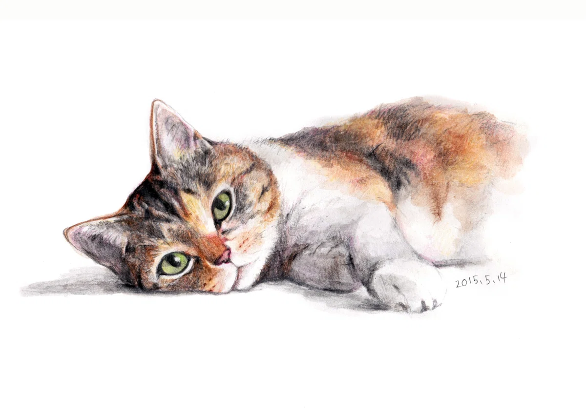 小さな水彩画（手書きの原画）「見上げる猫」 捻ろ