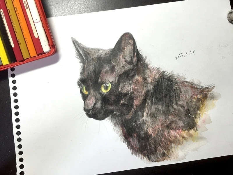 水彩色鉛筆で写実的に猫を描く。｜もじゃクッキー