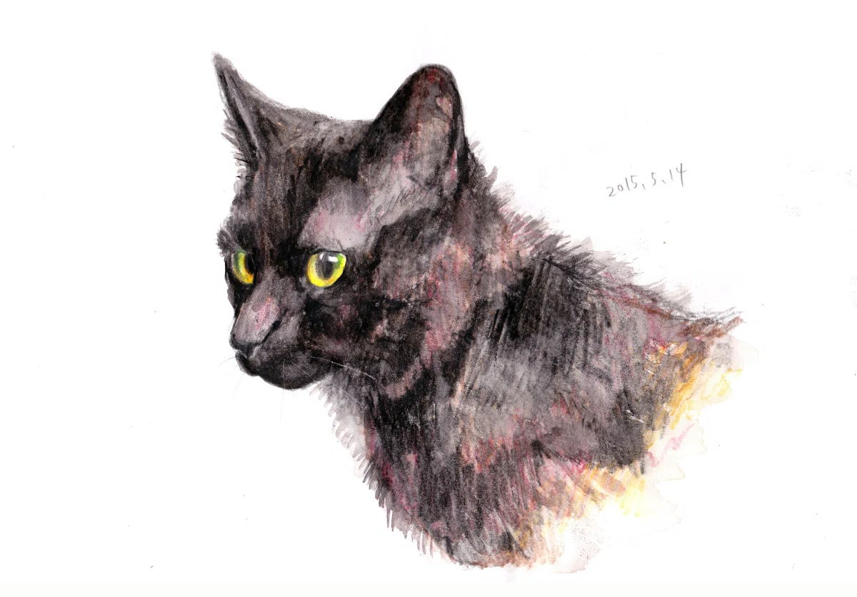 猫 絵画 子猫 イラスト 水彩色鉛筆 油彩色鉛筆 原画 シャボン玉と黒猫 