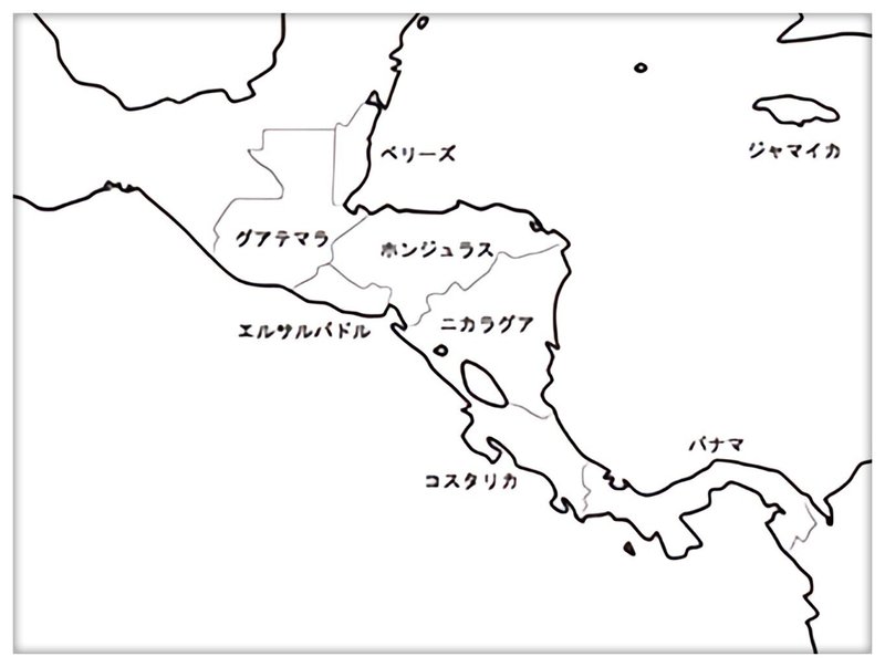 グアテマラ|mario coffee labo