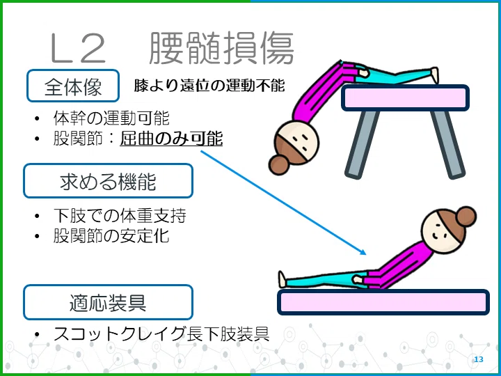 脊損の装具学まとめ（上肢無し）｜じょんがらPT