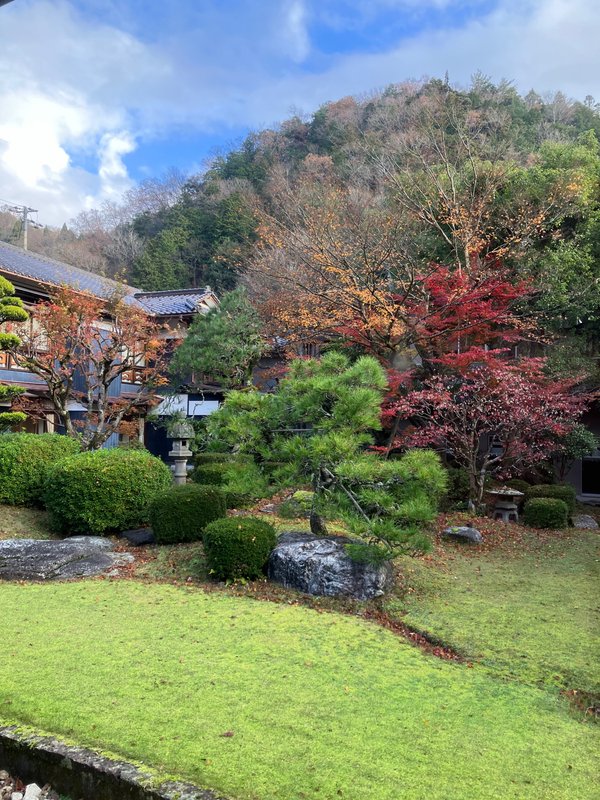 ときわ別館の朝の庭