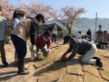芝張り作業
