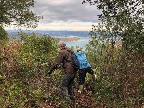 登山道整備