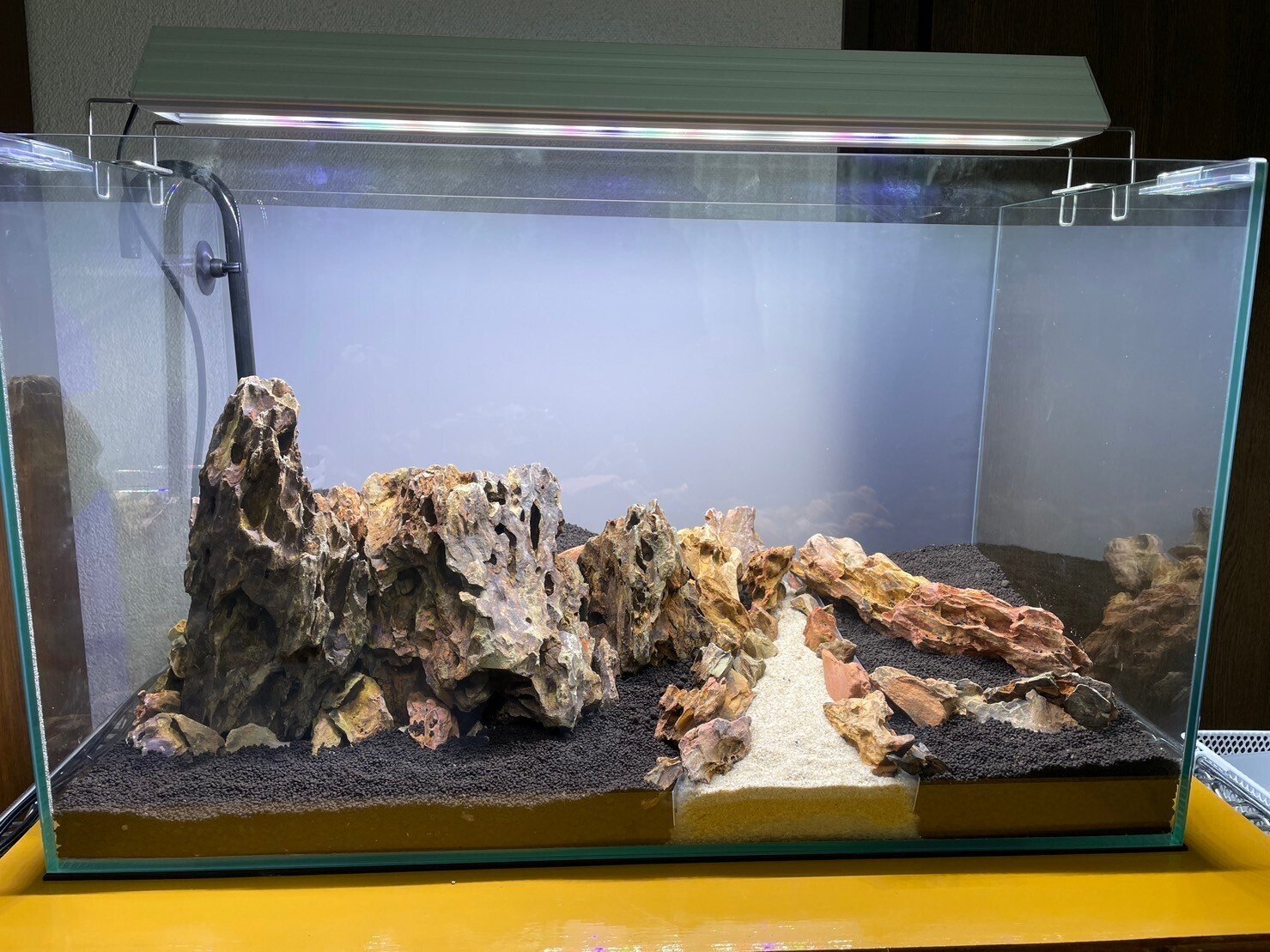 60㎝水槽を立ち上げました！①｜魚好きの小林