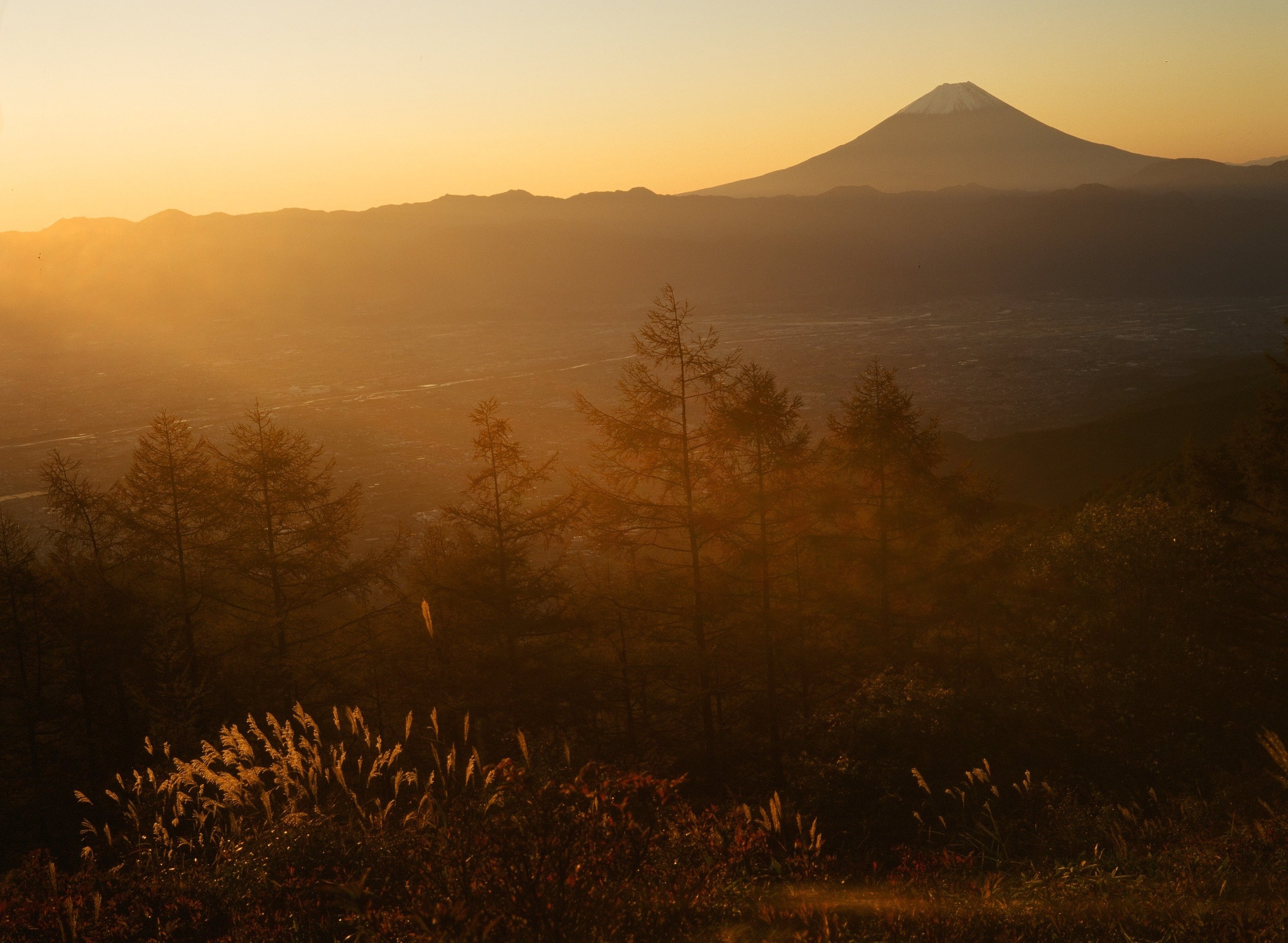 おかえり富士フィルム！ [作例あり]FUJICA GS645｜Yoshimin📸(ライカ